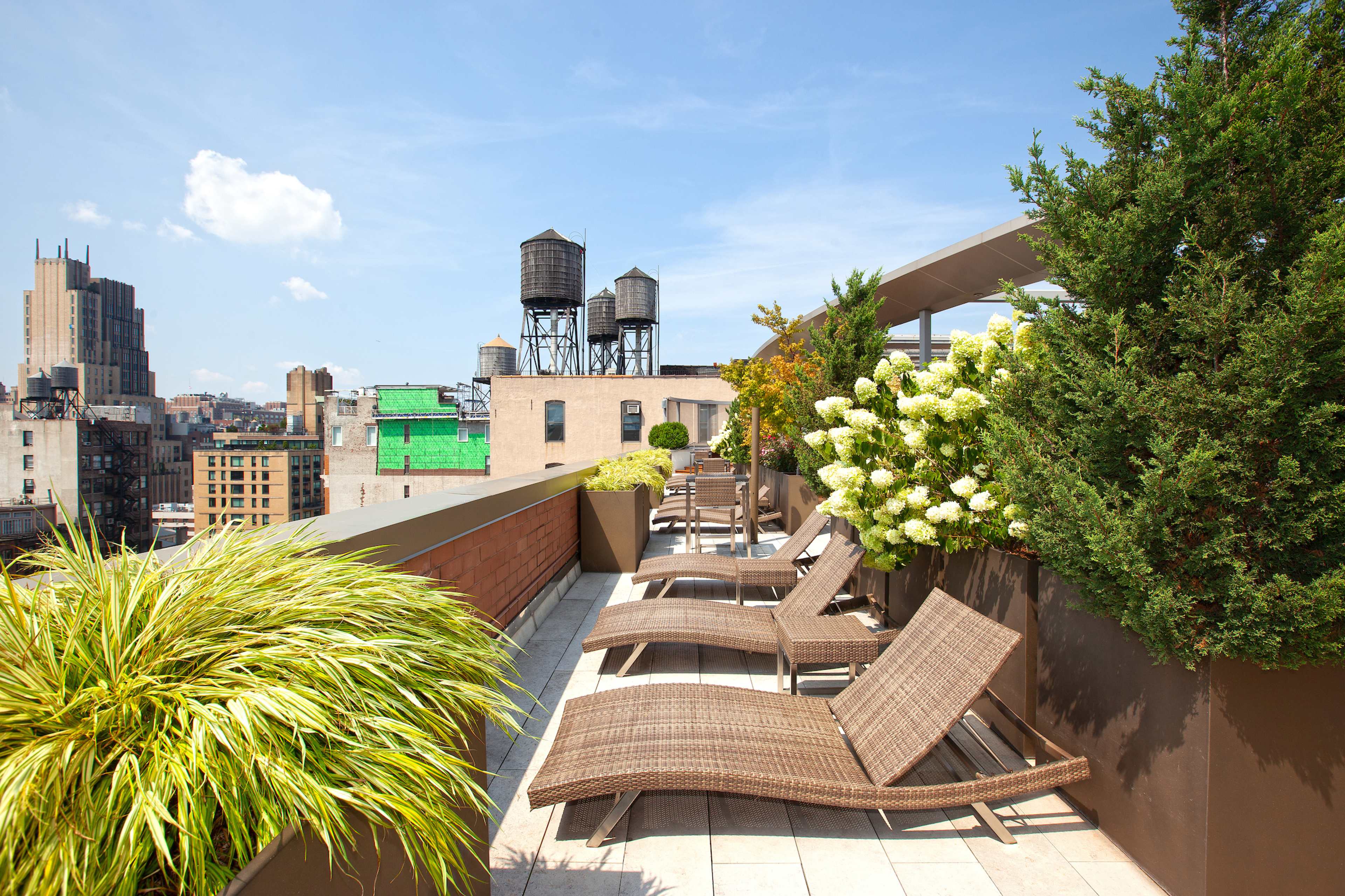 A rooftop terrace with lounge chairs, greenery, and city buildings in the background under a clear blue sky.