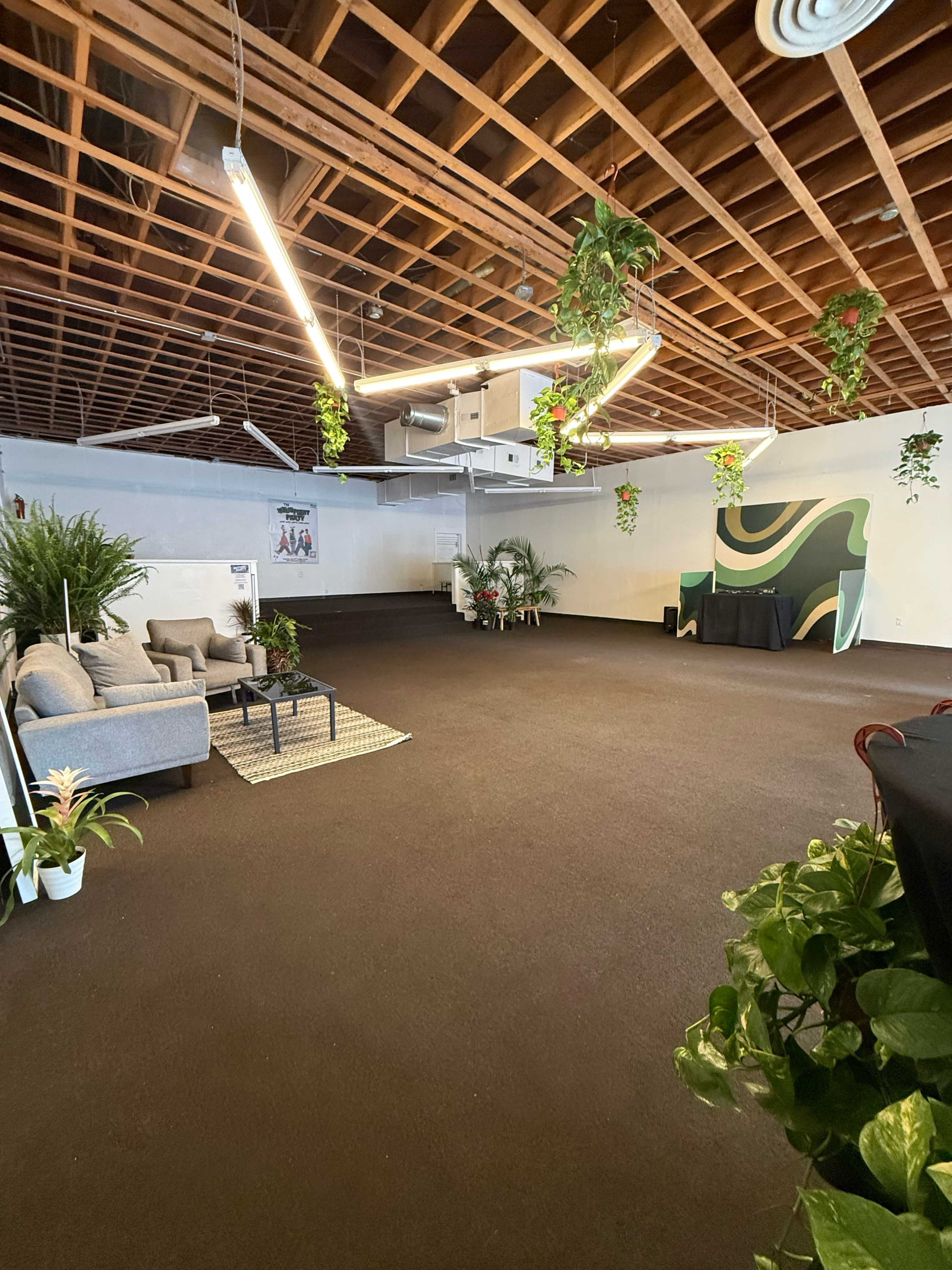 The image shows a spacious, empty room with a carpeted floor, featuring a sofa, plants, and artistic wall decor.
