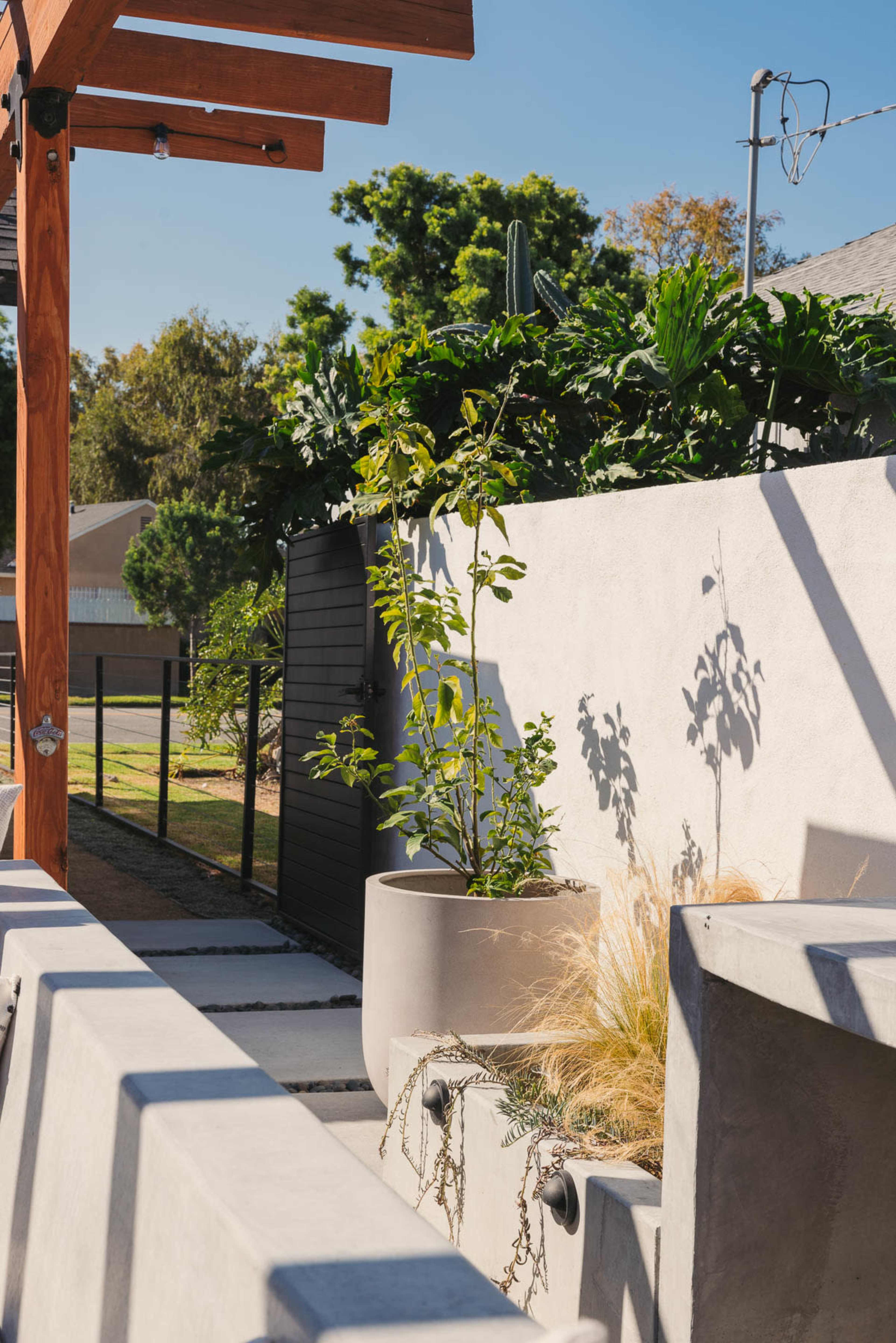 A modern outdoor space featuring a planter with a green plant, a concrete wall, and a wooden overhead structure.