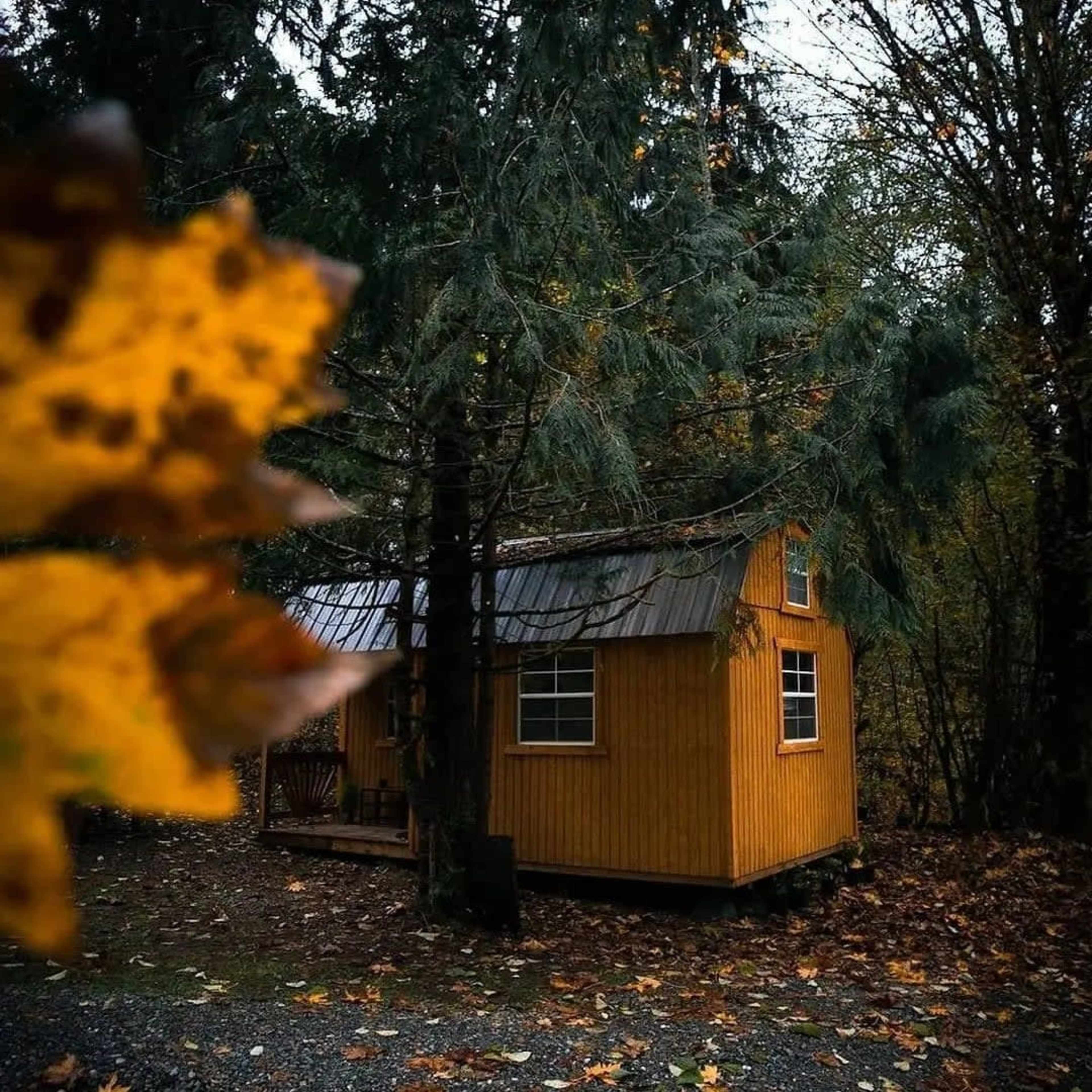 Charming & Rustic Off Grid Tiny Cabin Image in Hobart, Maple Valley, WA