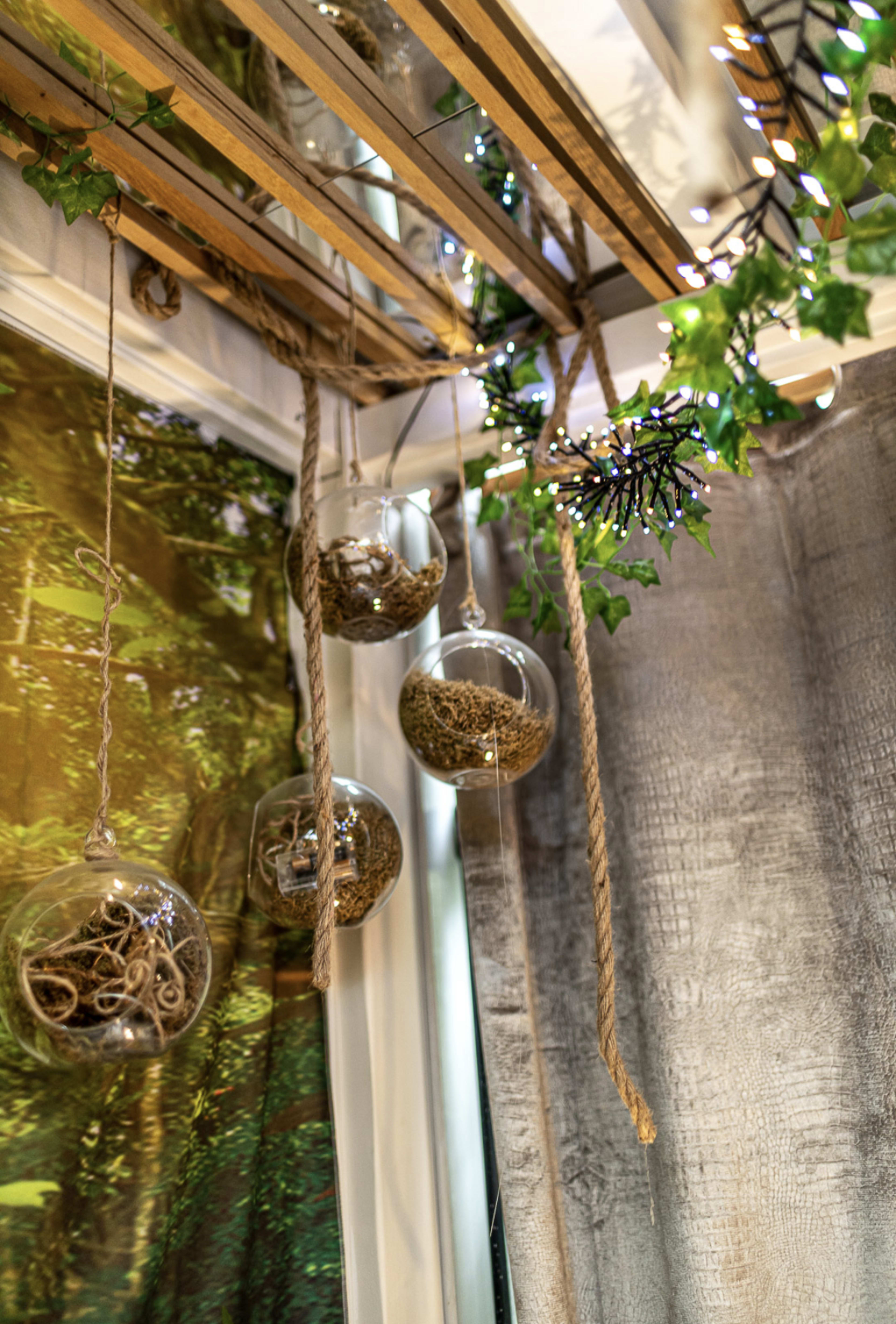 The image shows several glass globes suspended from a wooden structure, containing natural elements and surrounded by decorative ivy and fairy lights.