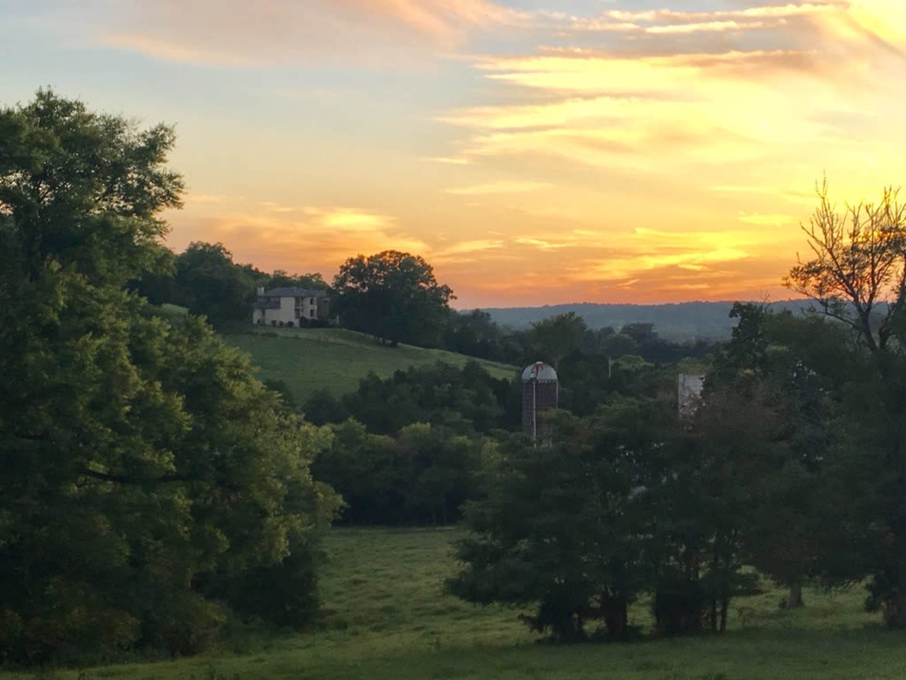 200 Acres of Rolling Countryside Image in , COLUMBIA, TN