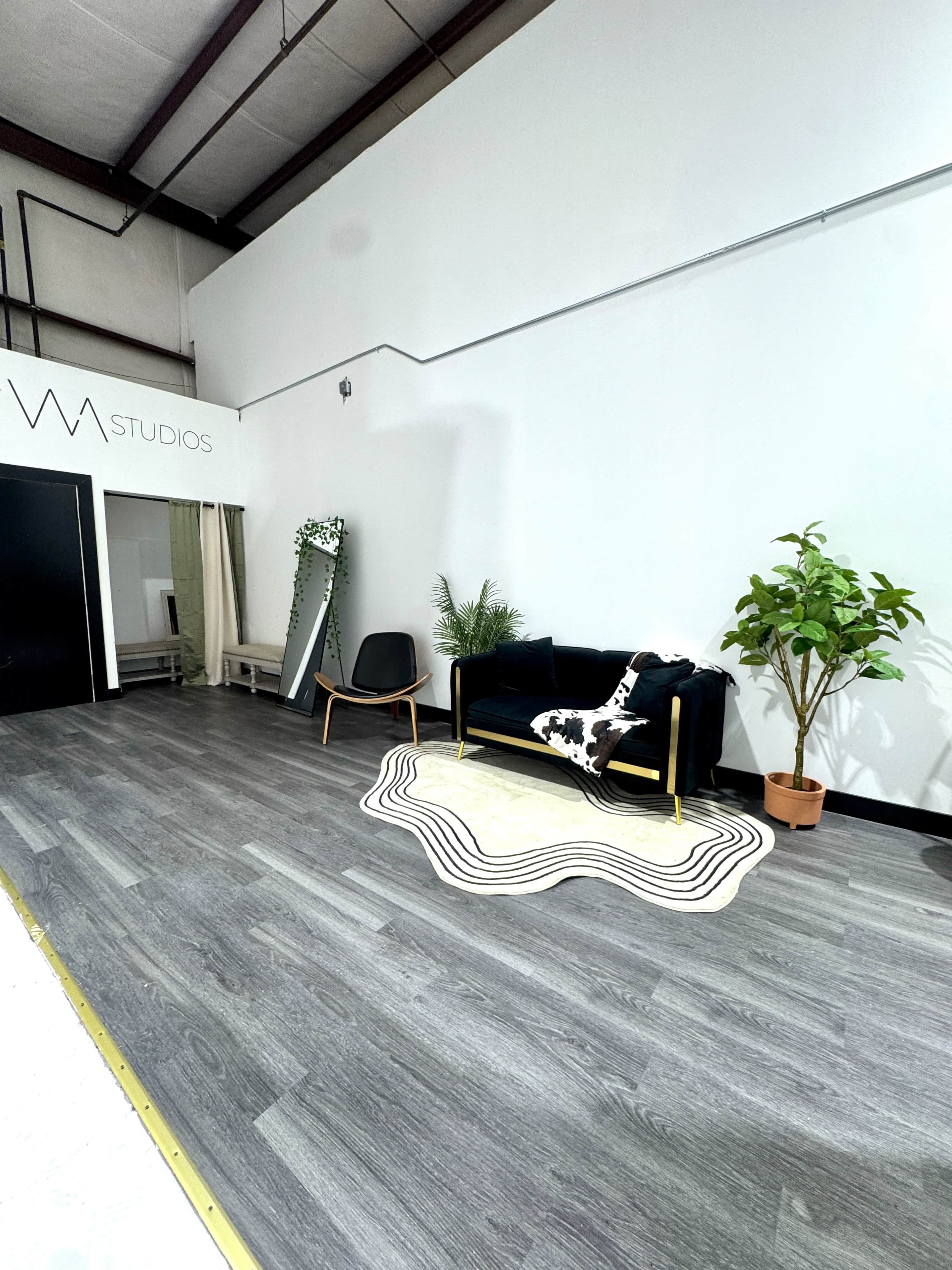 The image shows a spacious studio with a black couch, a striped rug, a potted plant, and modern furnishings against a plain white wall.