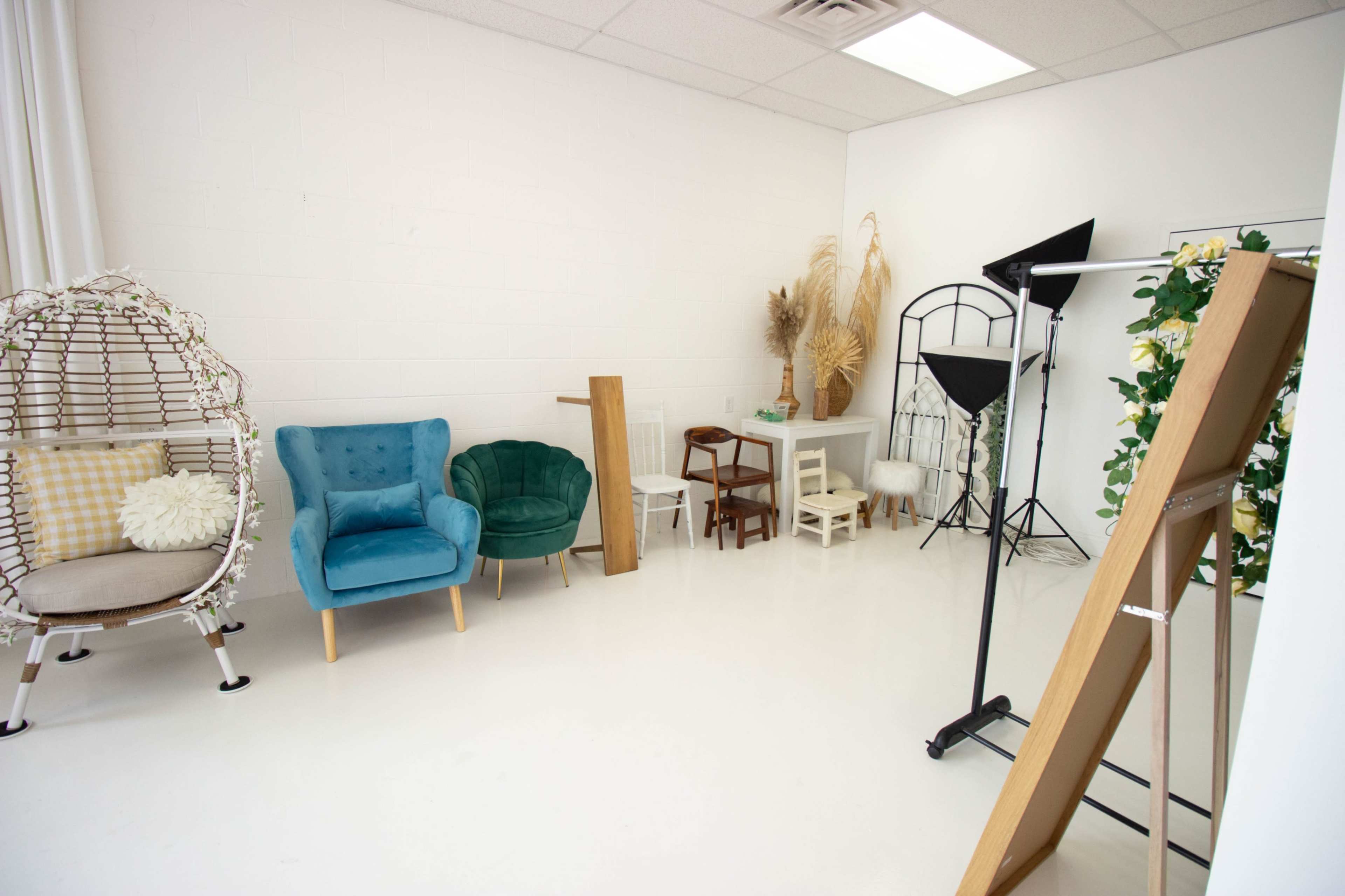 The image shows a bright studio space featuring a variety of chairs, decorative plants, and a podium, set against a white backdrop.