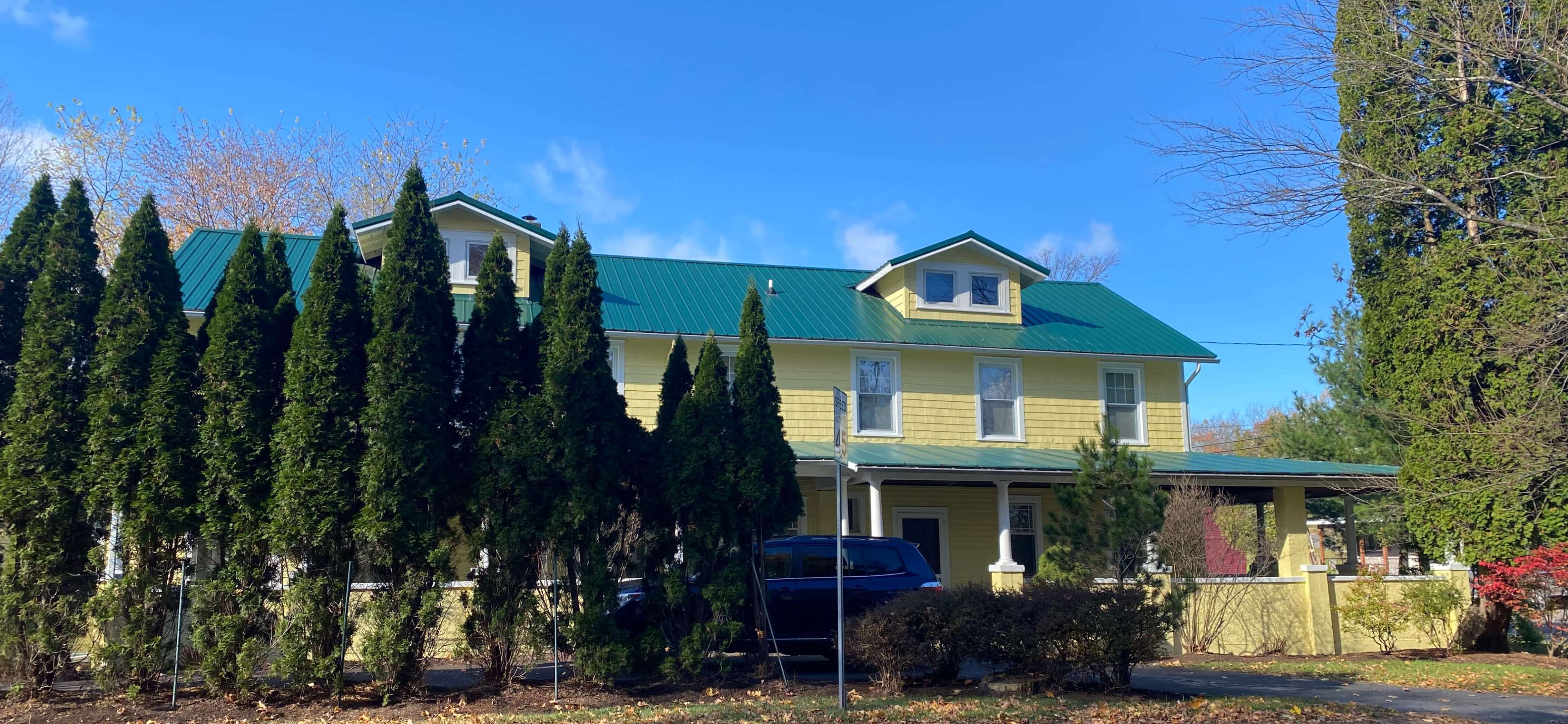 A yellow two-story house with a green metal roof is surrounded by tall evergreen trees and shrubs.