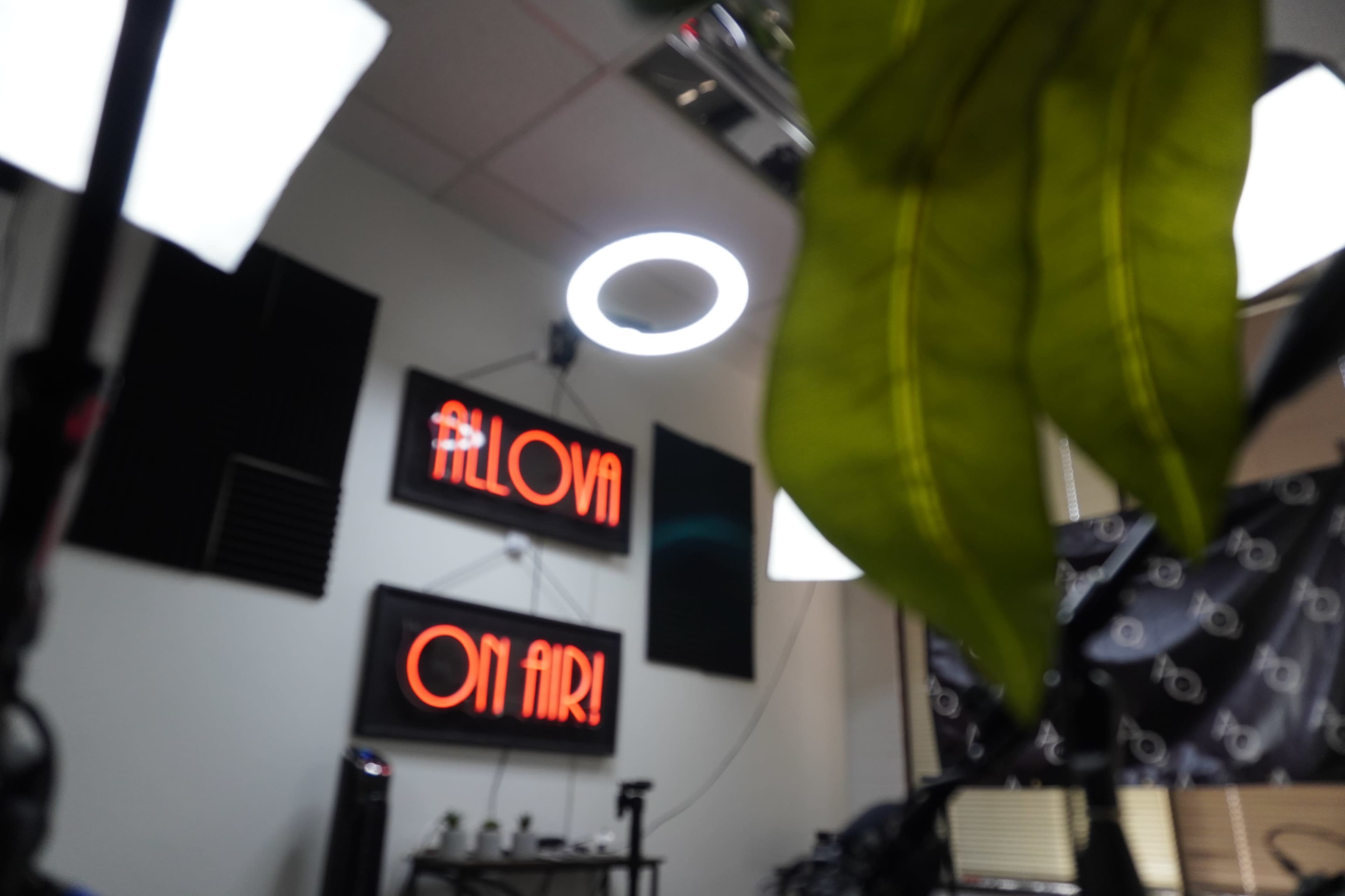 The image shows a studio setup featuring neon signs that read "ALLOW" and "ON AIR," with various lighting equipment and a green plant partially obscuring the view.