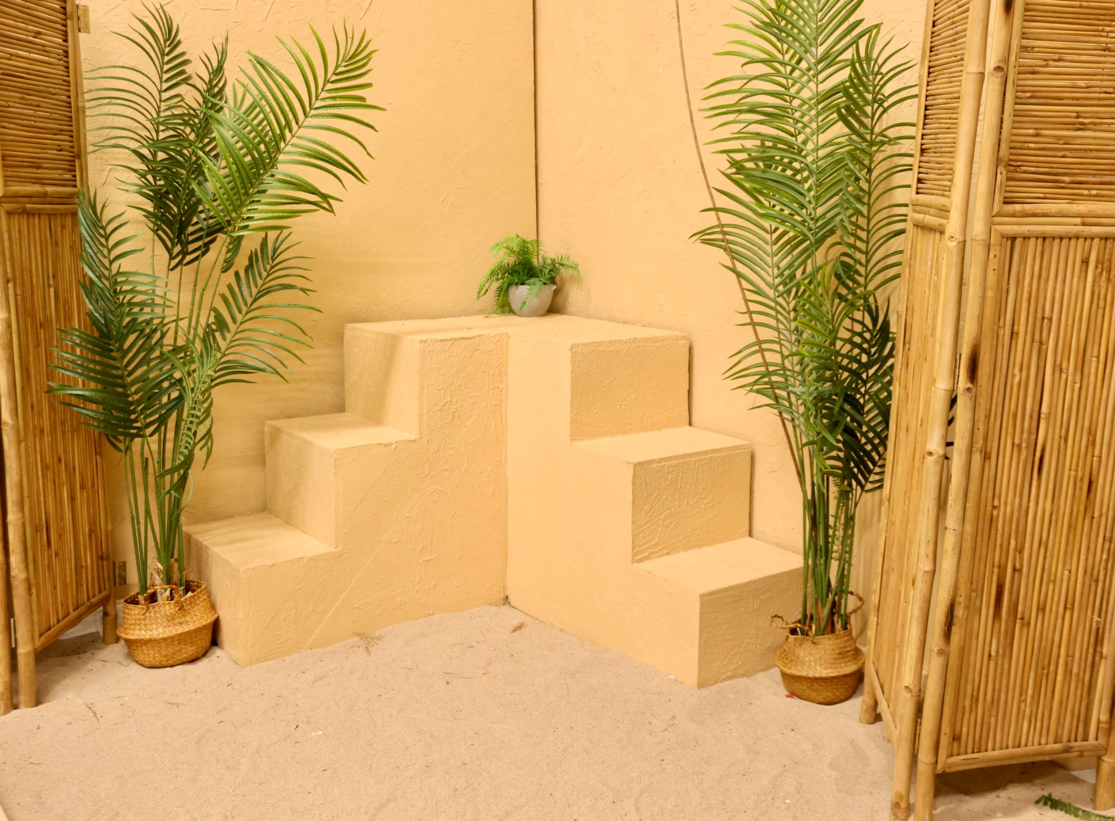 The image shows a corner of a room with sandy flooring and two potted plants flanking a set of three steps made of light-colored material.