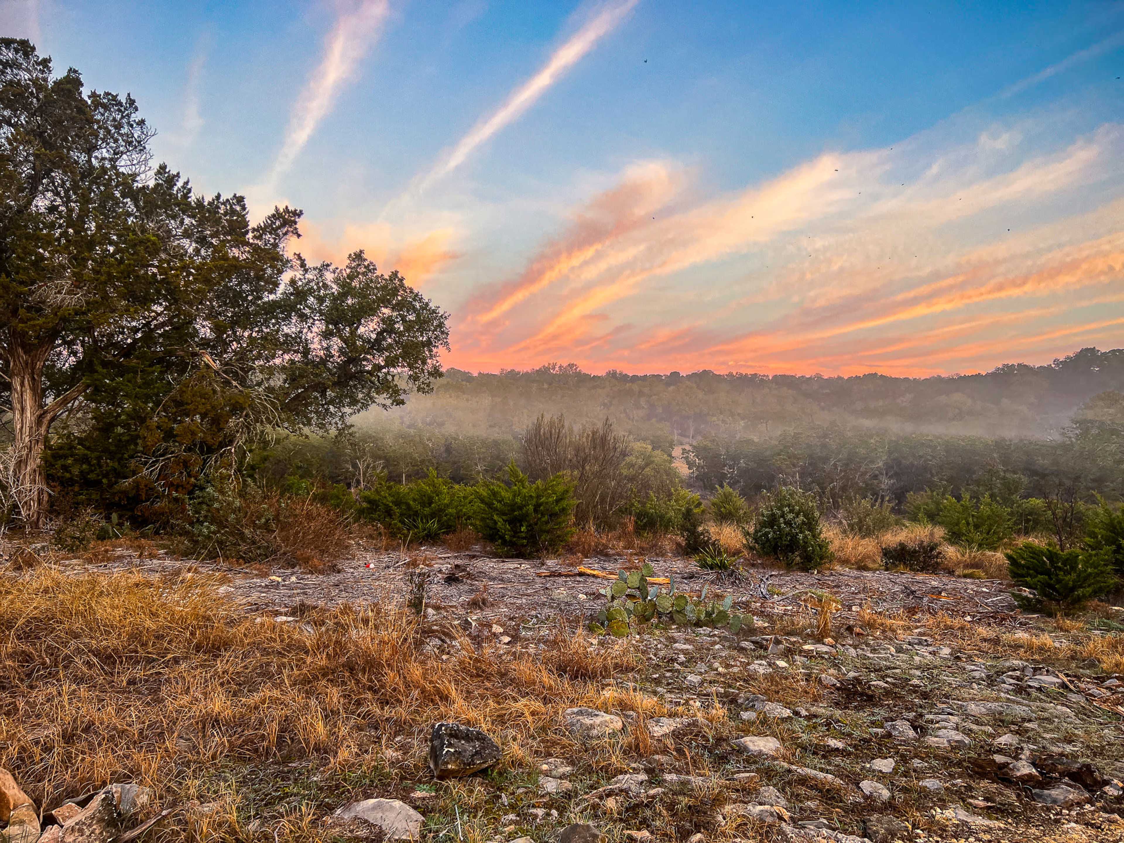 A rocky landscape features scattered shrubs and cacti under a colorful sky at dawn with streaks of pink and orange.