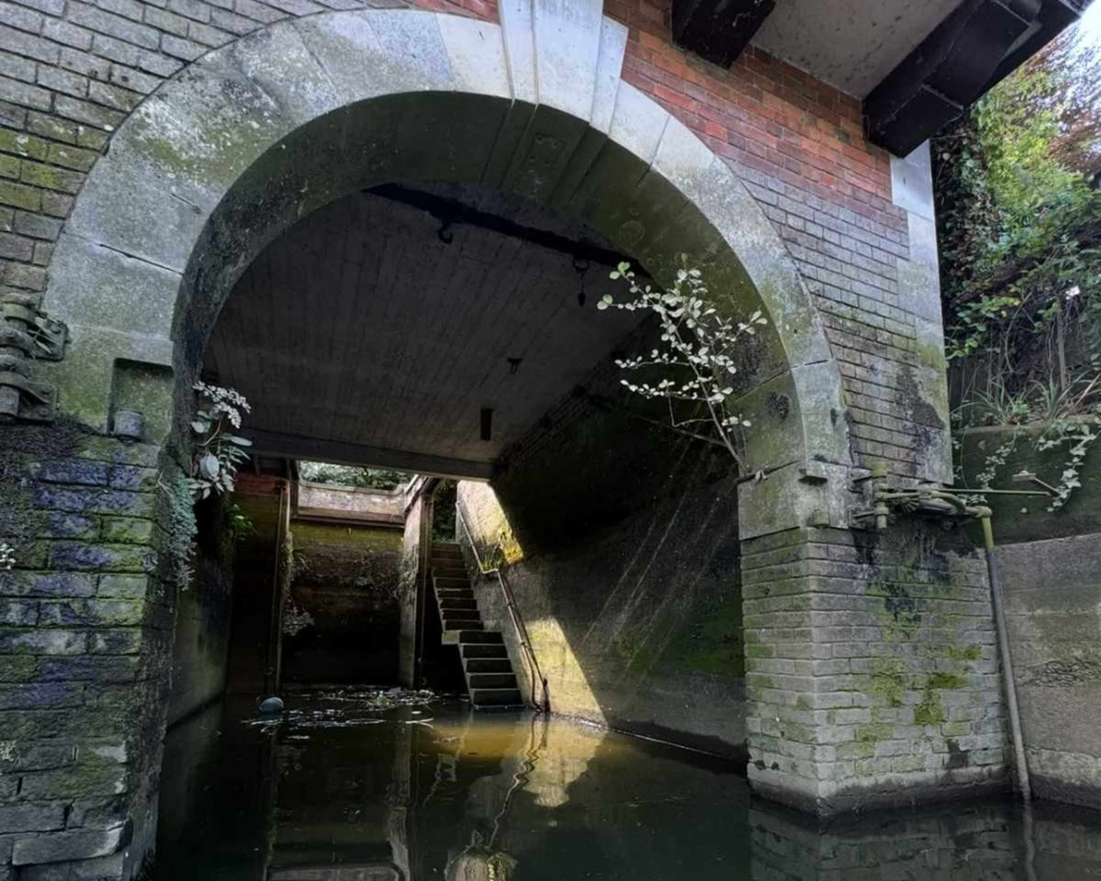 An arched stone doorway leads into a dark passageway with stairs that descend into still water, surrounded by moss-covered walls.