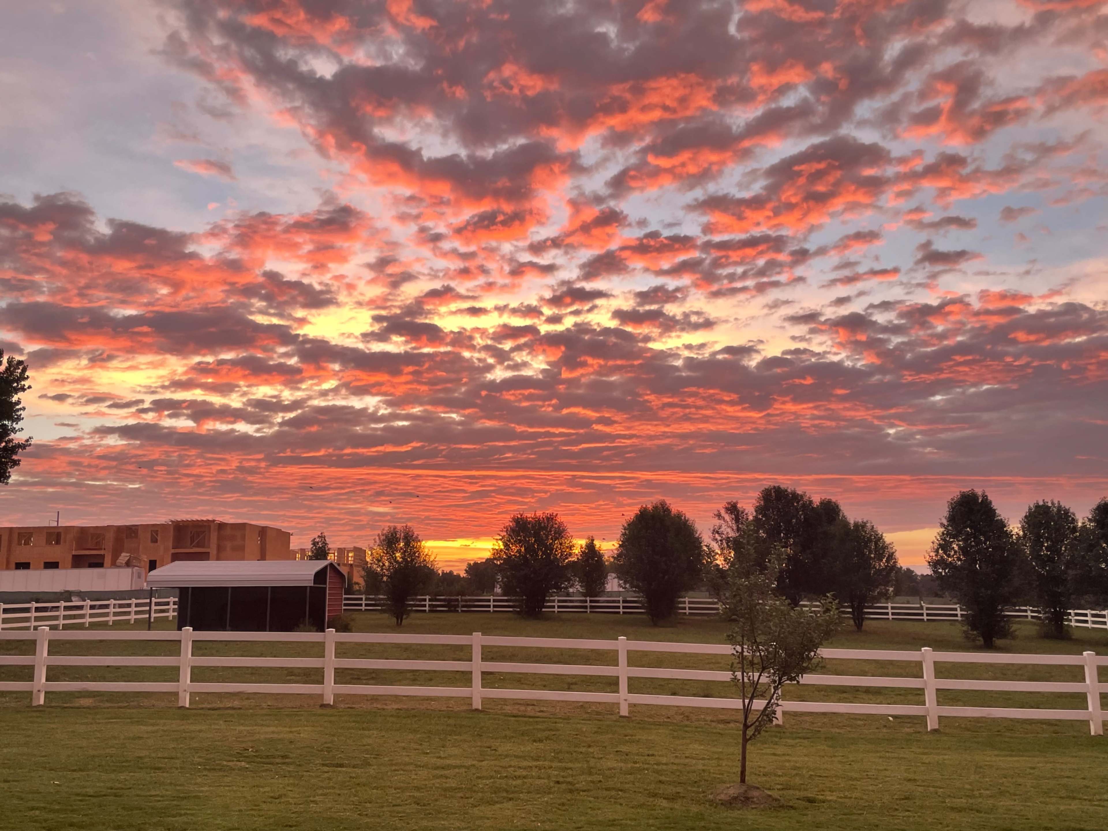 The sky is filled with vibrant red and orange hues as the sun sets behind a white fence and trees.