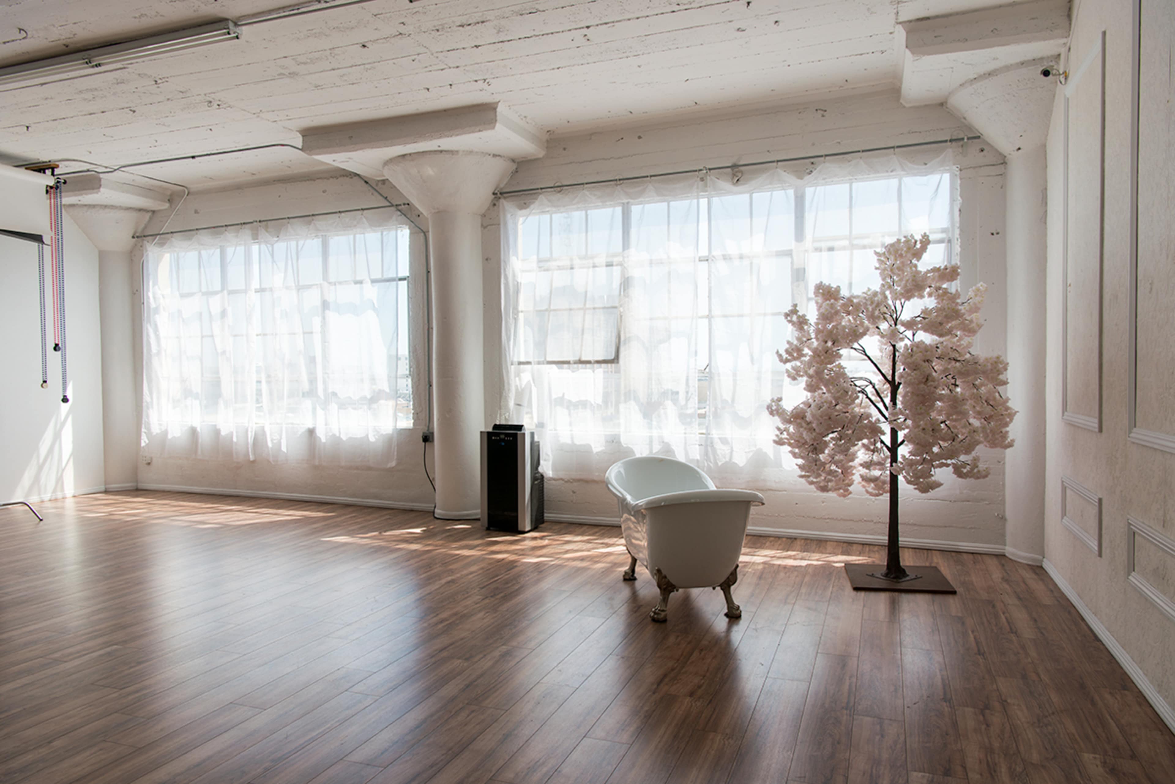 A bright, spacious room with large windows, a vintage bathtub-style chair, and a cherry blossom tree.