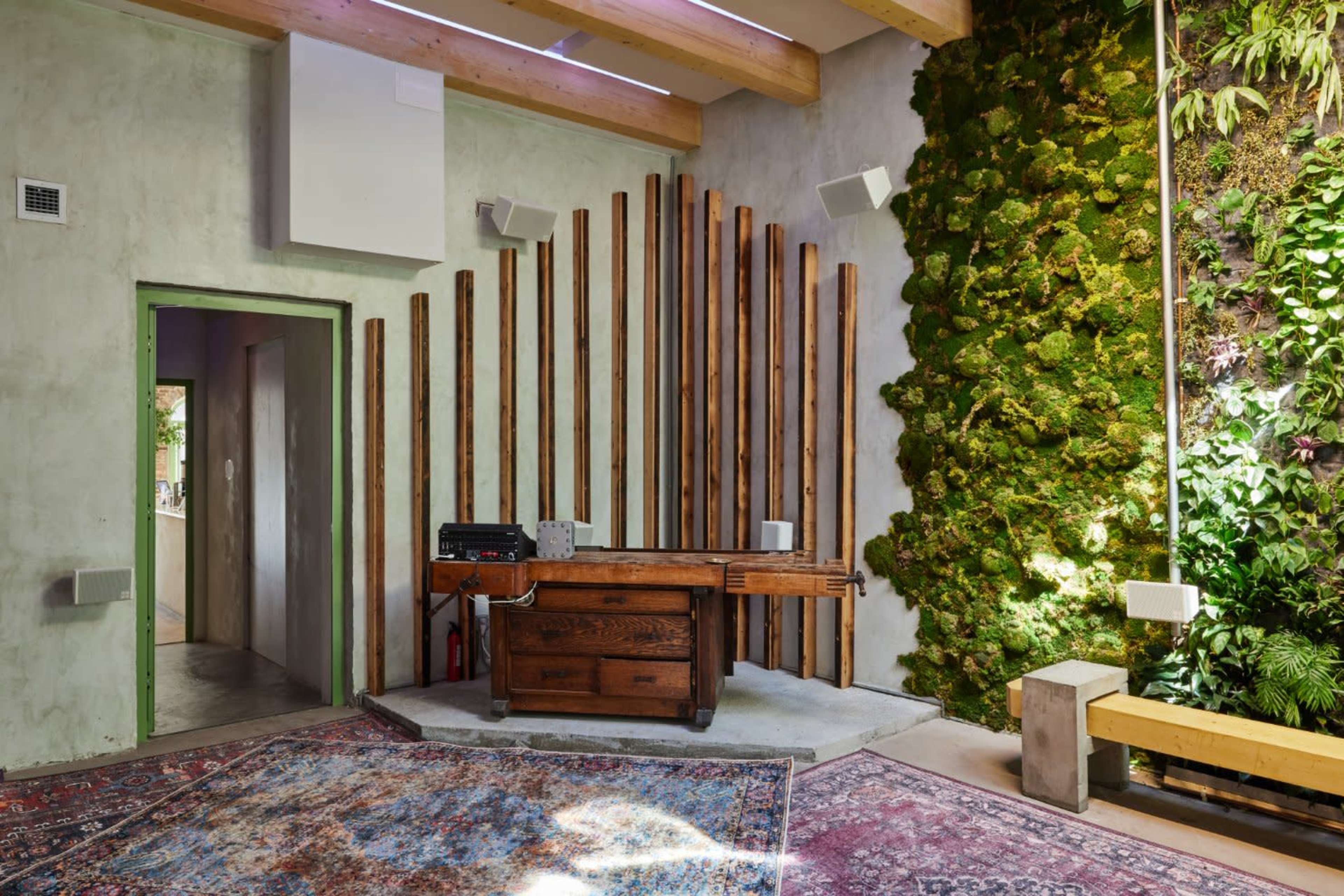 Sustainable and Serene Cafe in Williamsburg Image in Williamsburg, Brooklyn, NY