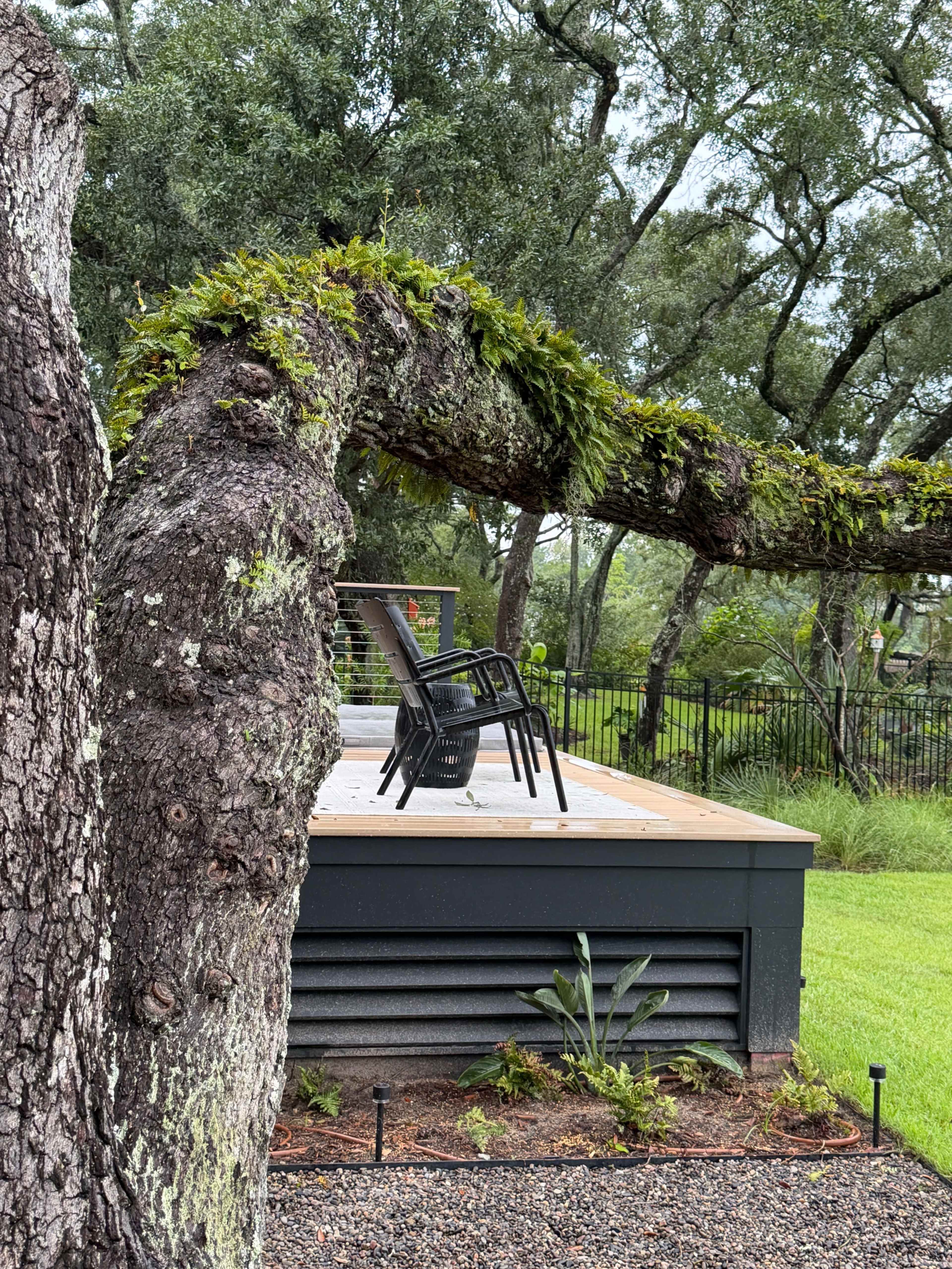 A black chair is propped upside down on a wooden deck beneath an arching tree branch covered in green foliage.