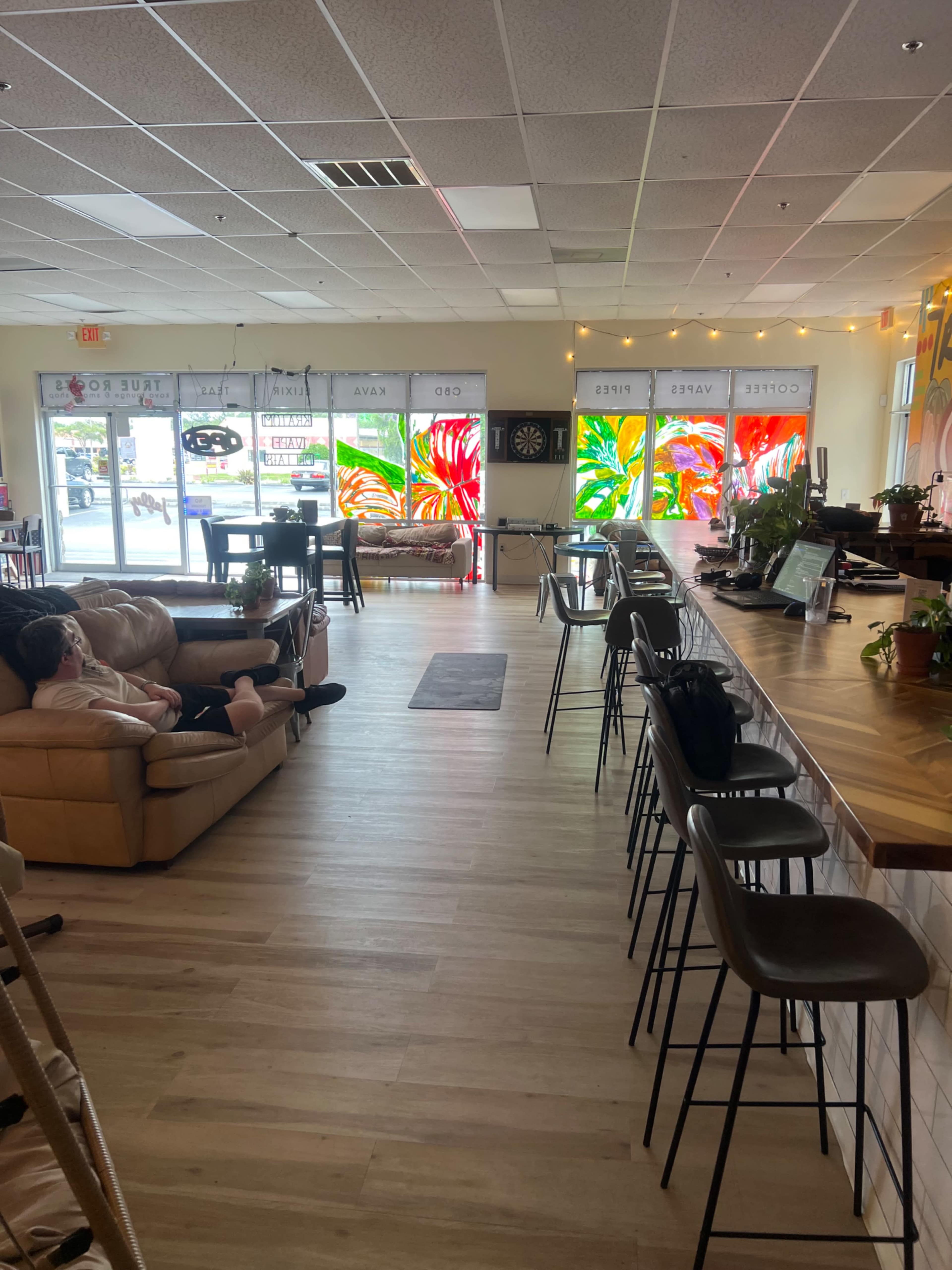 The Hangout Lounge - Ping Pong, Plants & Vibes Image in Pinellas Park, Pinellas Park, FL
