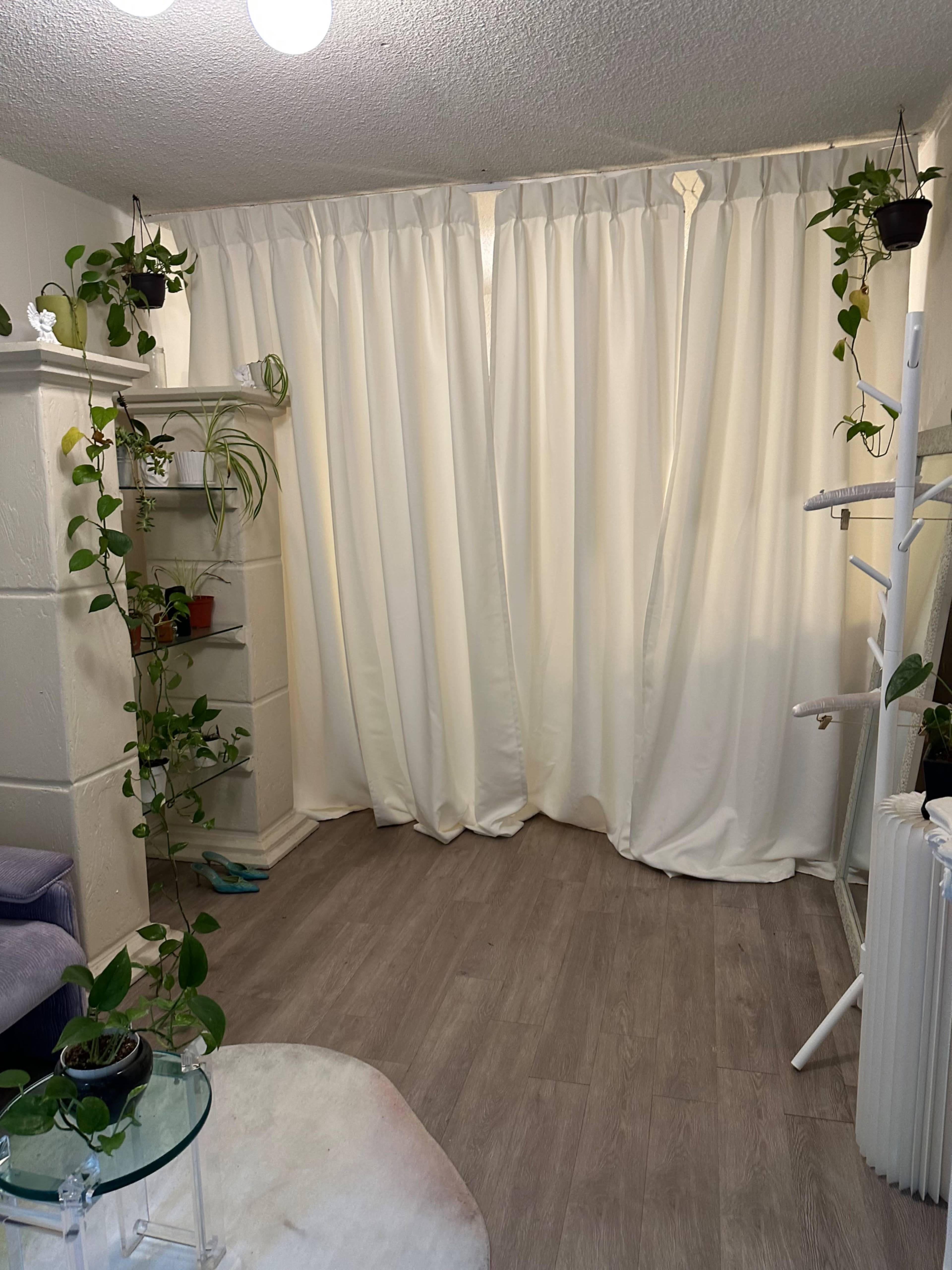 A room with a light-colored curtain, wooden flooring, and indoor plants placed on a shelf and hanging from the ceiling.
