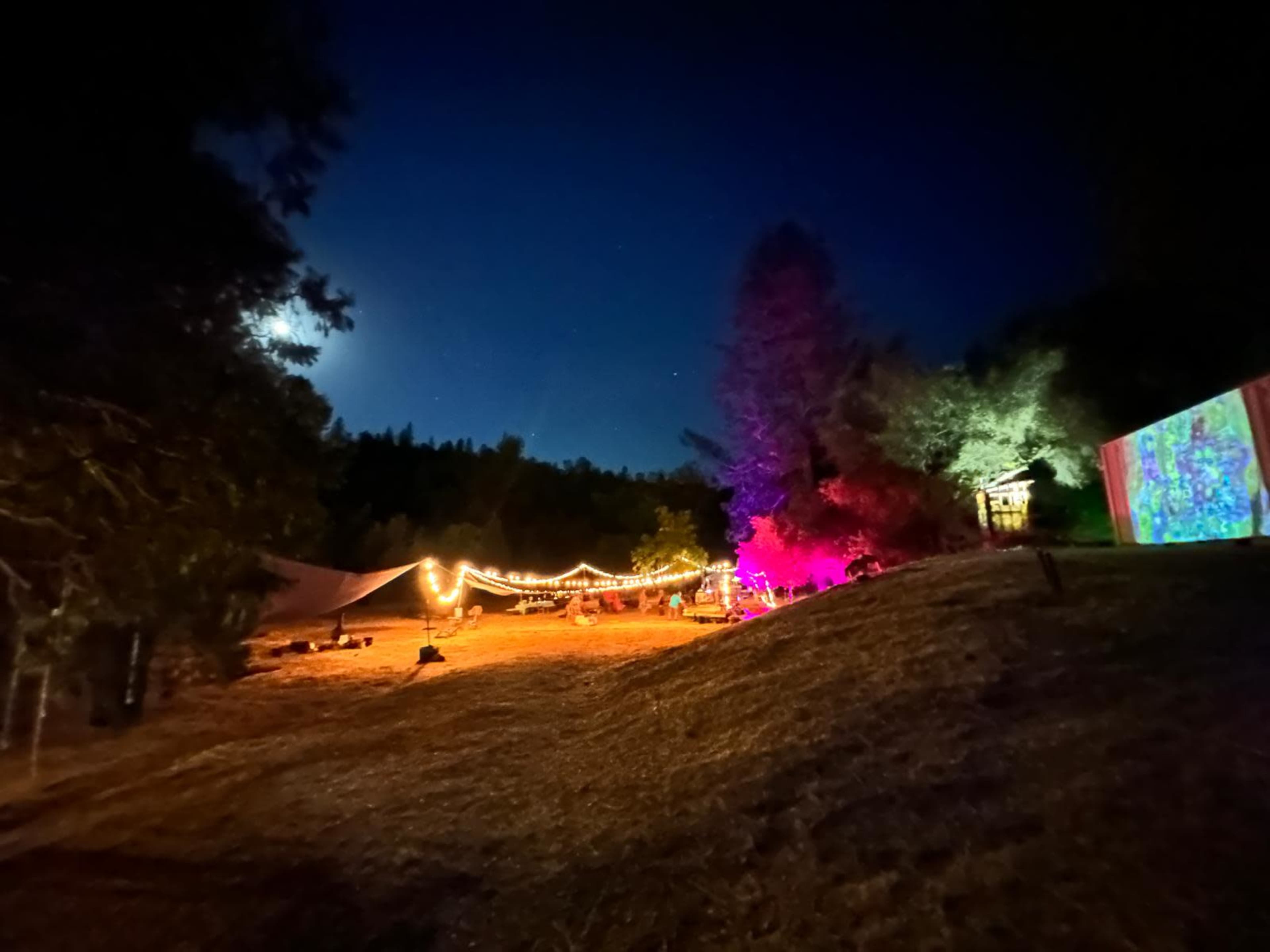The scene depicts a nighttime outdoor gathering with string lights and colorful projections illuminating a sloped area surrounded by trees.