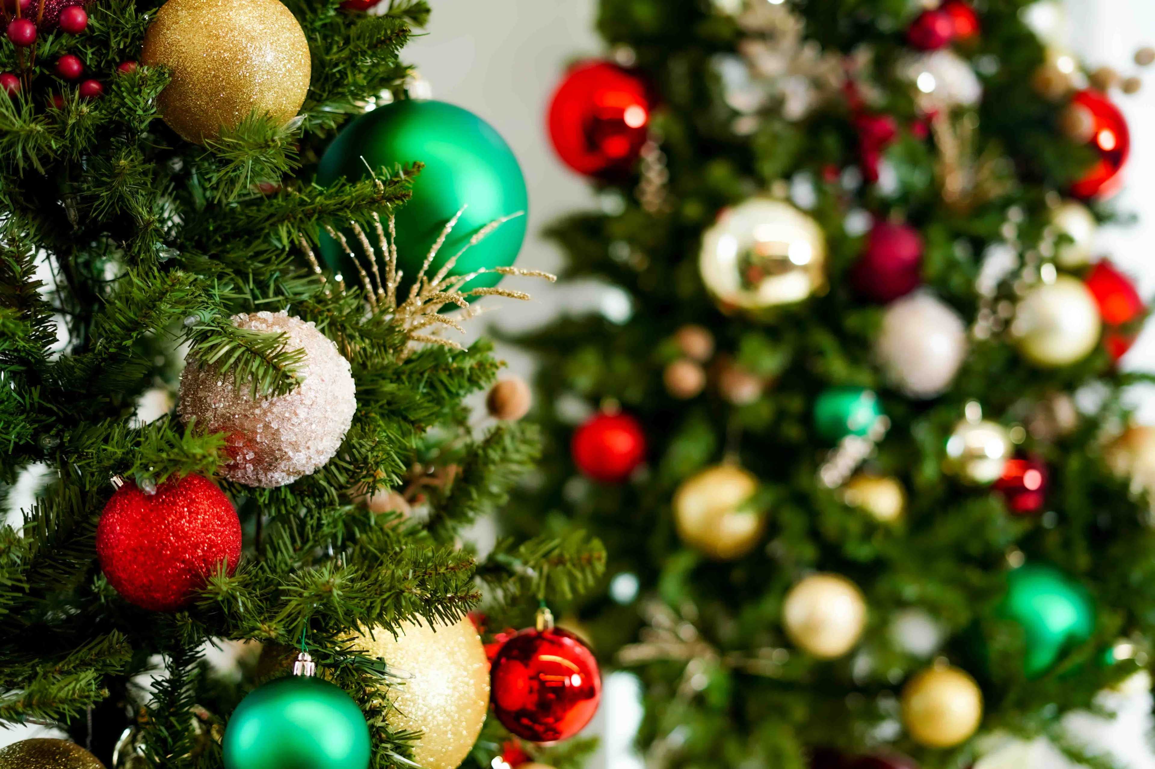 Two decorated Christmas trees are adorned with colorful ornaments in shades of green, red, gold, and silver.