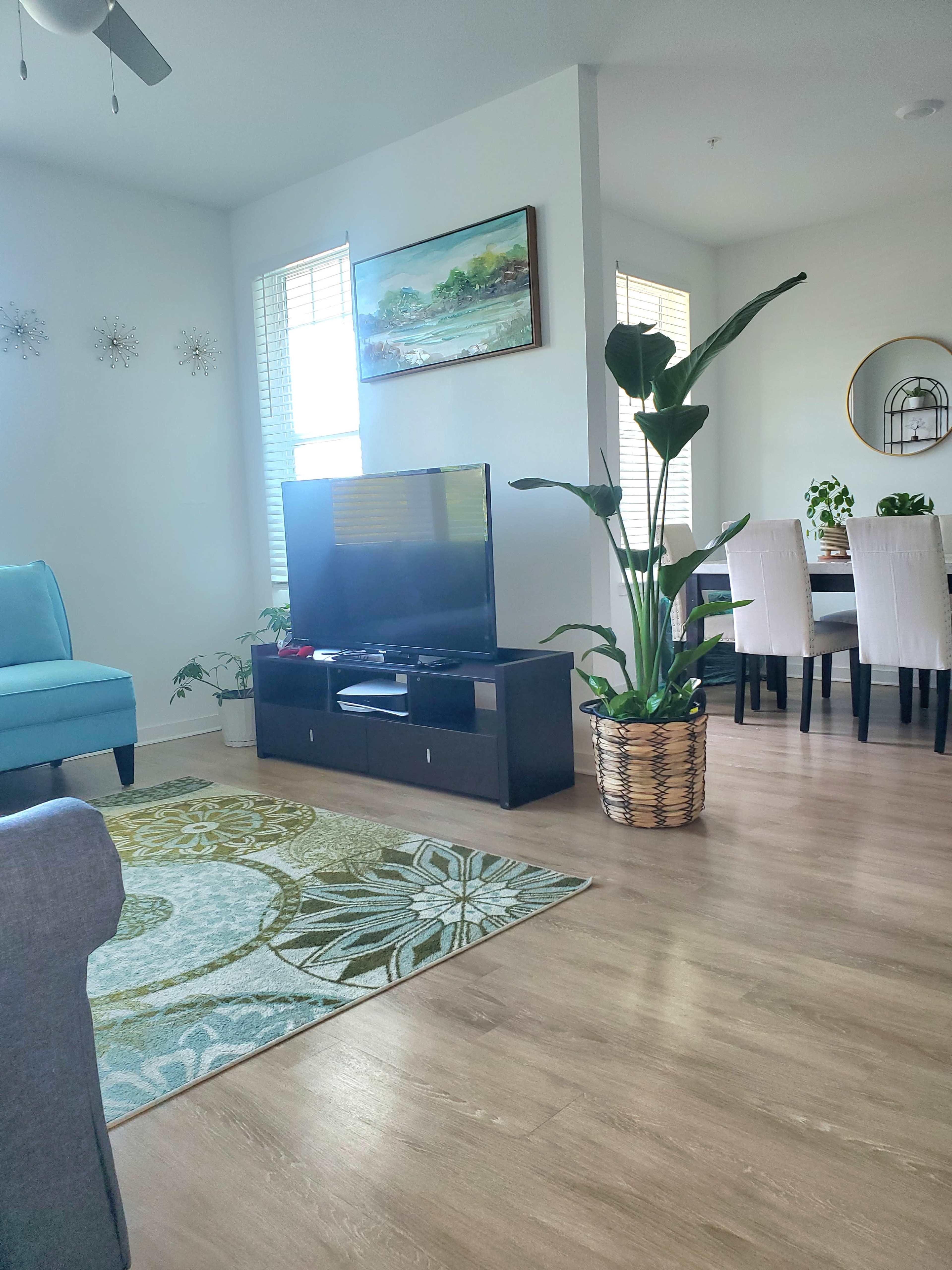 A living room with a television, a large potted plant, a patterned rug, and a dining area visible in the background.