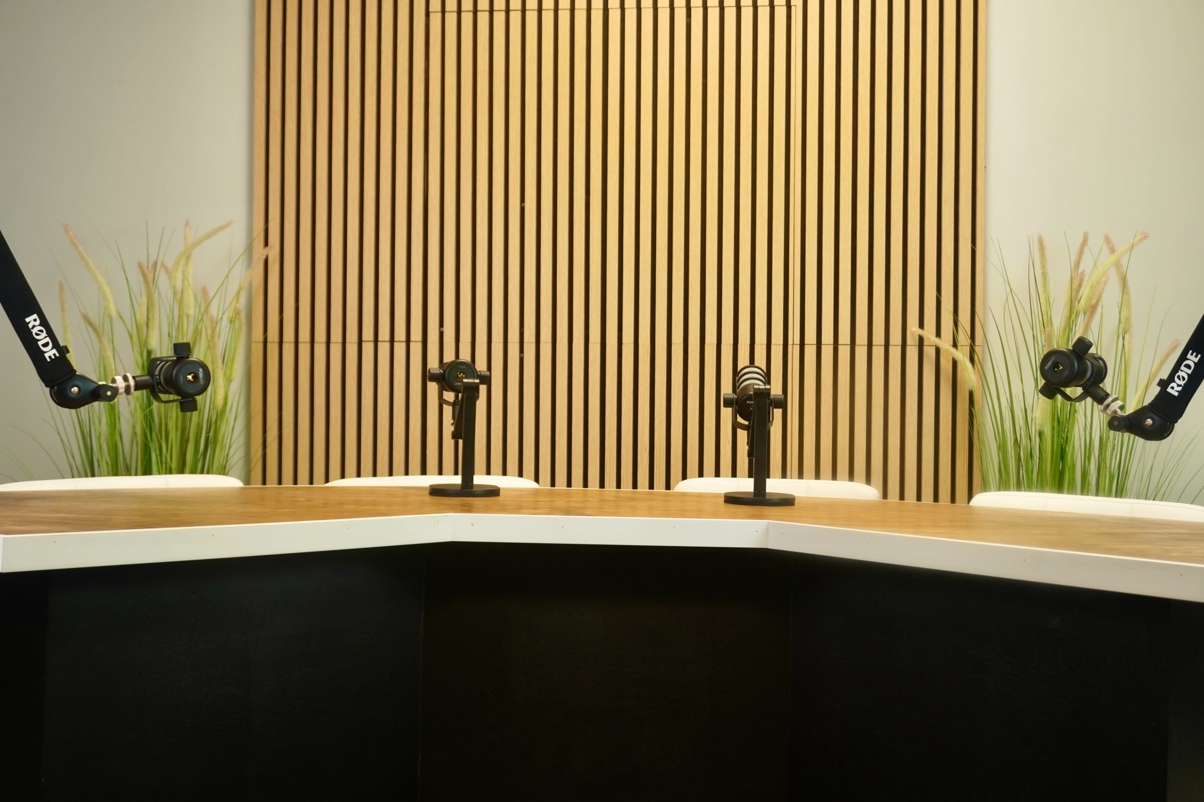 The image shows a podcast studio featuring a wooden table, three microphone stands, and decorative plants in the background.