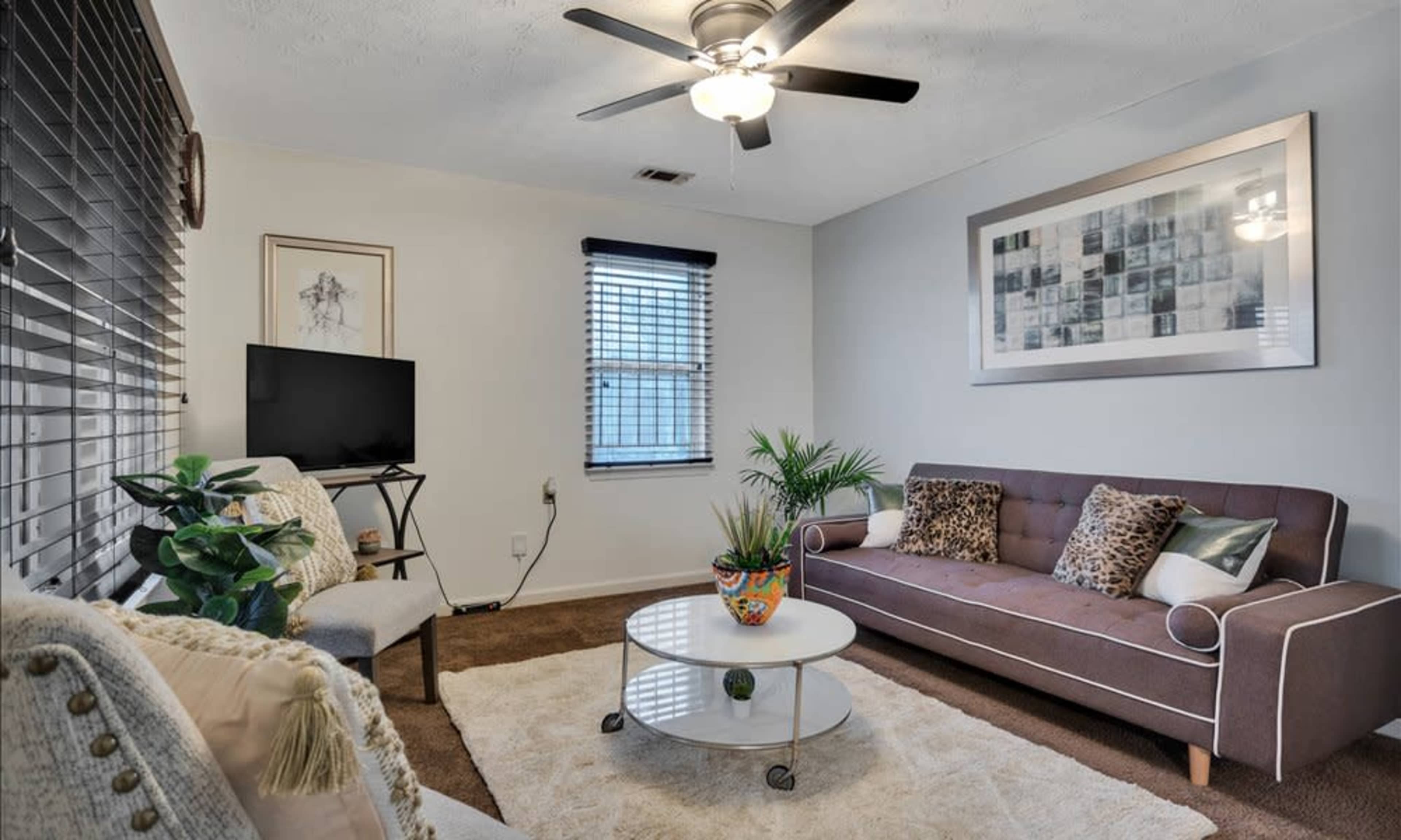 The living room features a brown sofa with decorative pillows, a round coffee table, a television on a stand, and a potted plant, all set against a backdrop of window blinds and light-colored walls.
