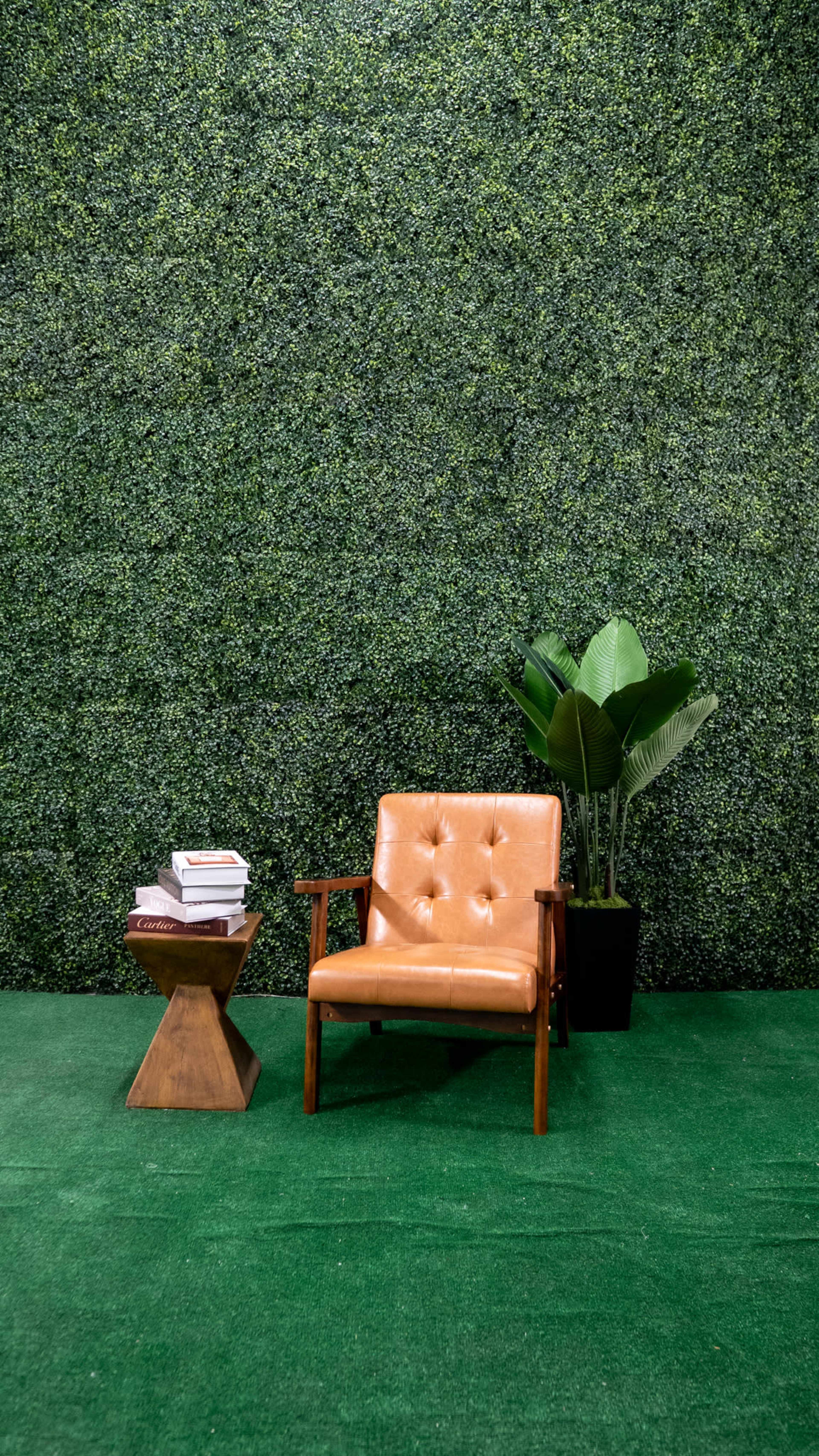 Modern Grass Wall Vibe Set Image in , Atlanta, GA
