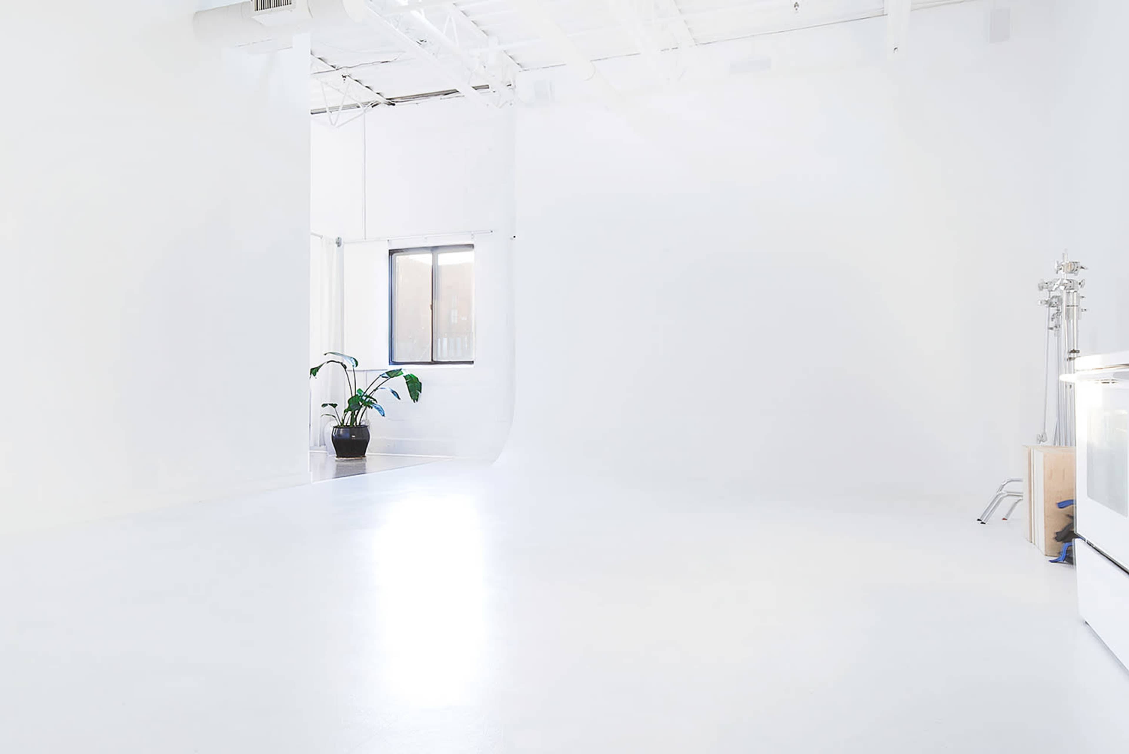 The image shows a bright, empty studio space with white walls and a single window, featuring a potted plant in the corner.