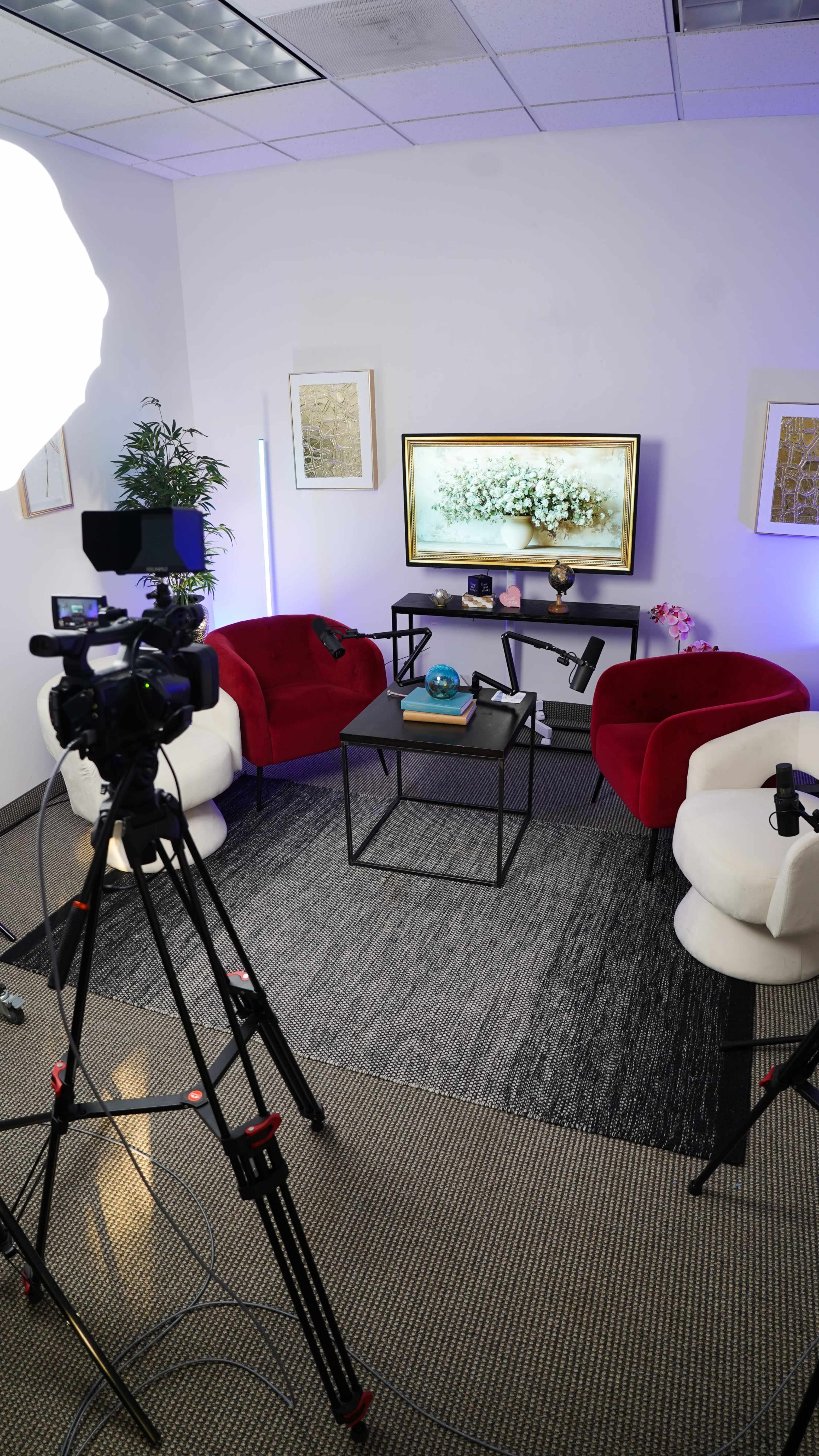 The image shows a small studio set with two red chairs, a table, and a television displaying a floral image, surrounded by cameras and lighting equipment.