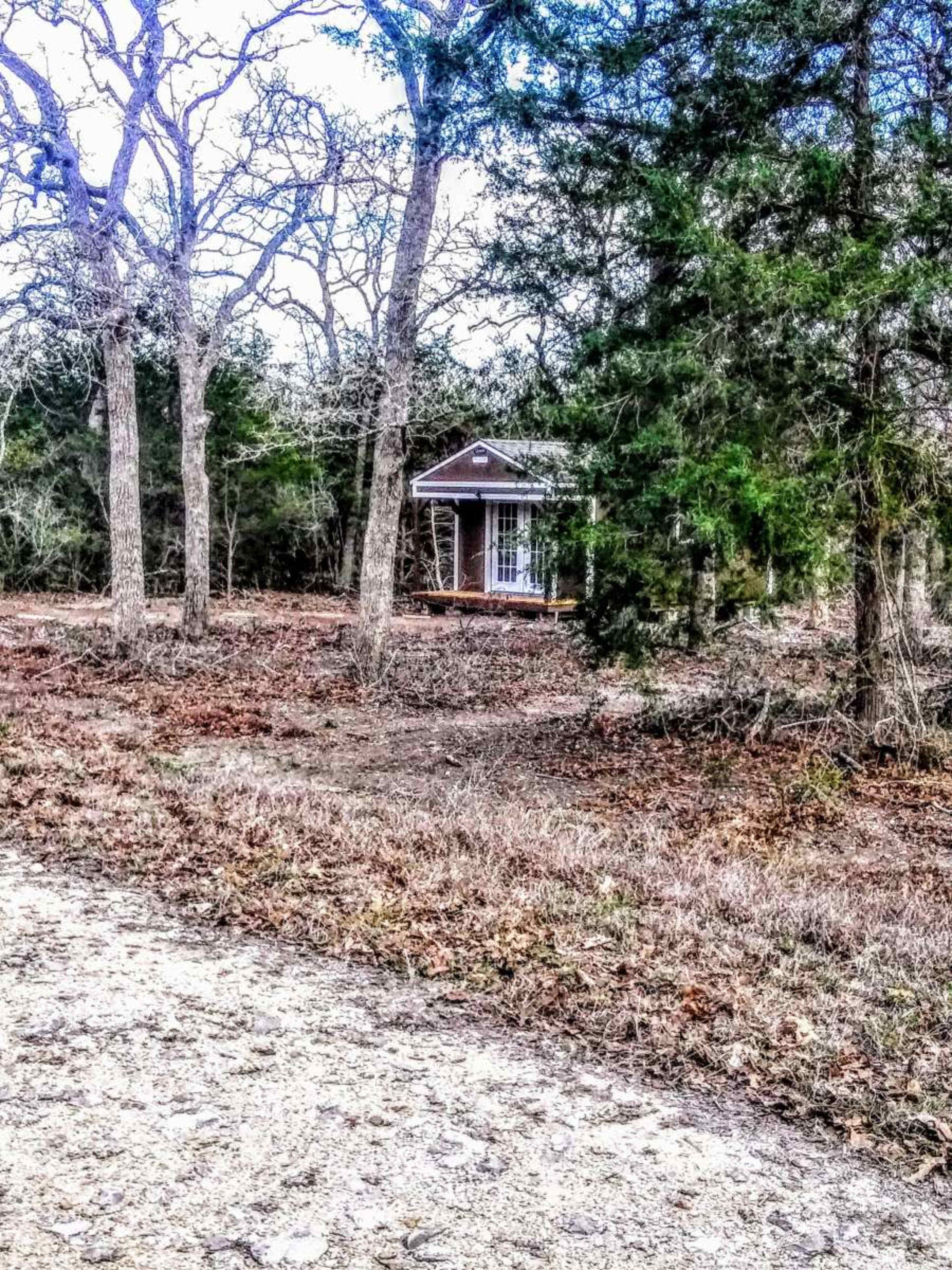 A small cabin is situated among trees beside a dirt path.