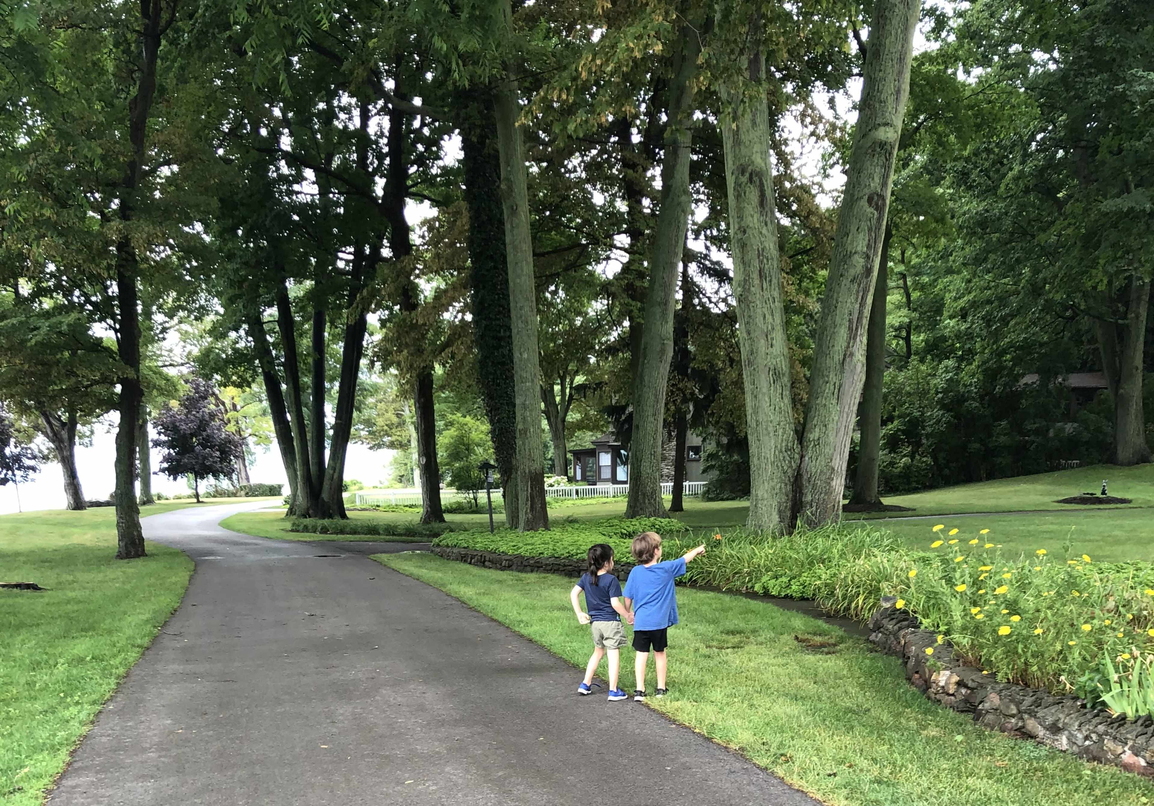 Two children stand on a grassy path, pointing towards a tree while surrounded by tall trees and a garden.