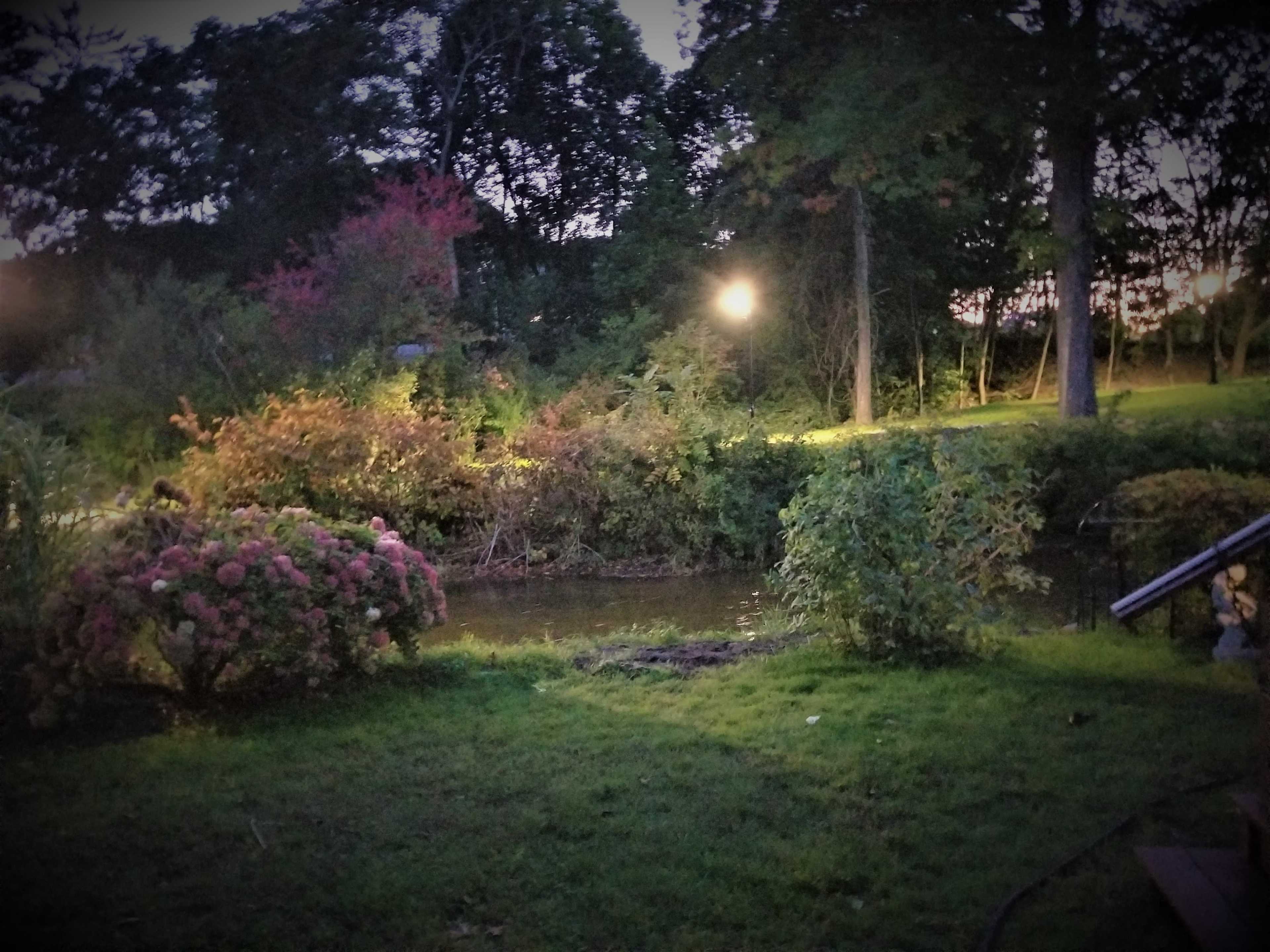 The scene features a tranquil garden with a small pond surrounded by greenery and blooming flowers, illuminated by soft lights in the evening.