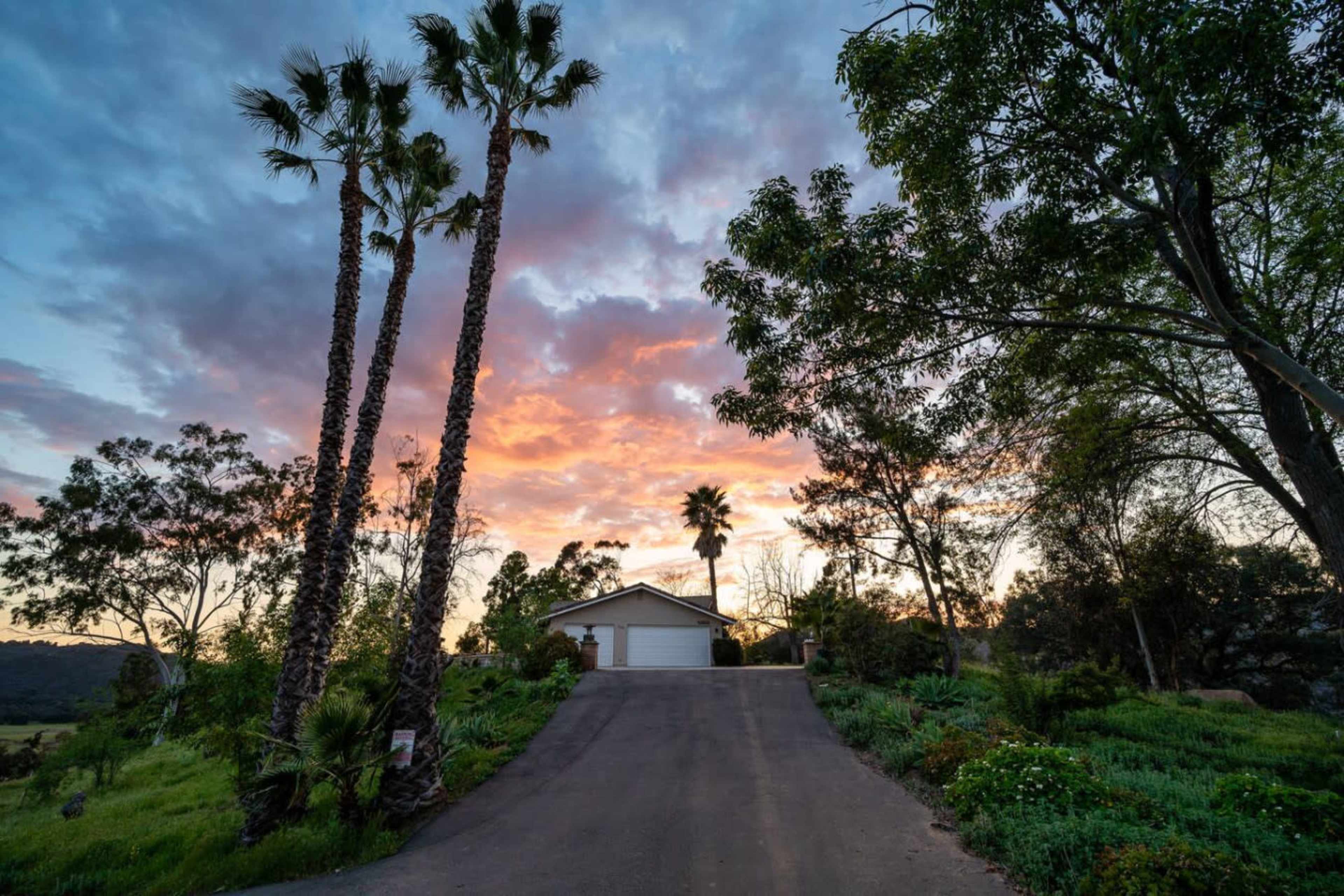 A driveway leads to a house surrounded by palm trees and lush greenery under a colorful sunset sky.