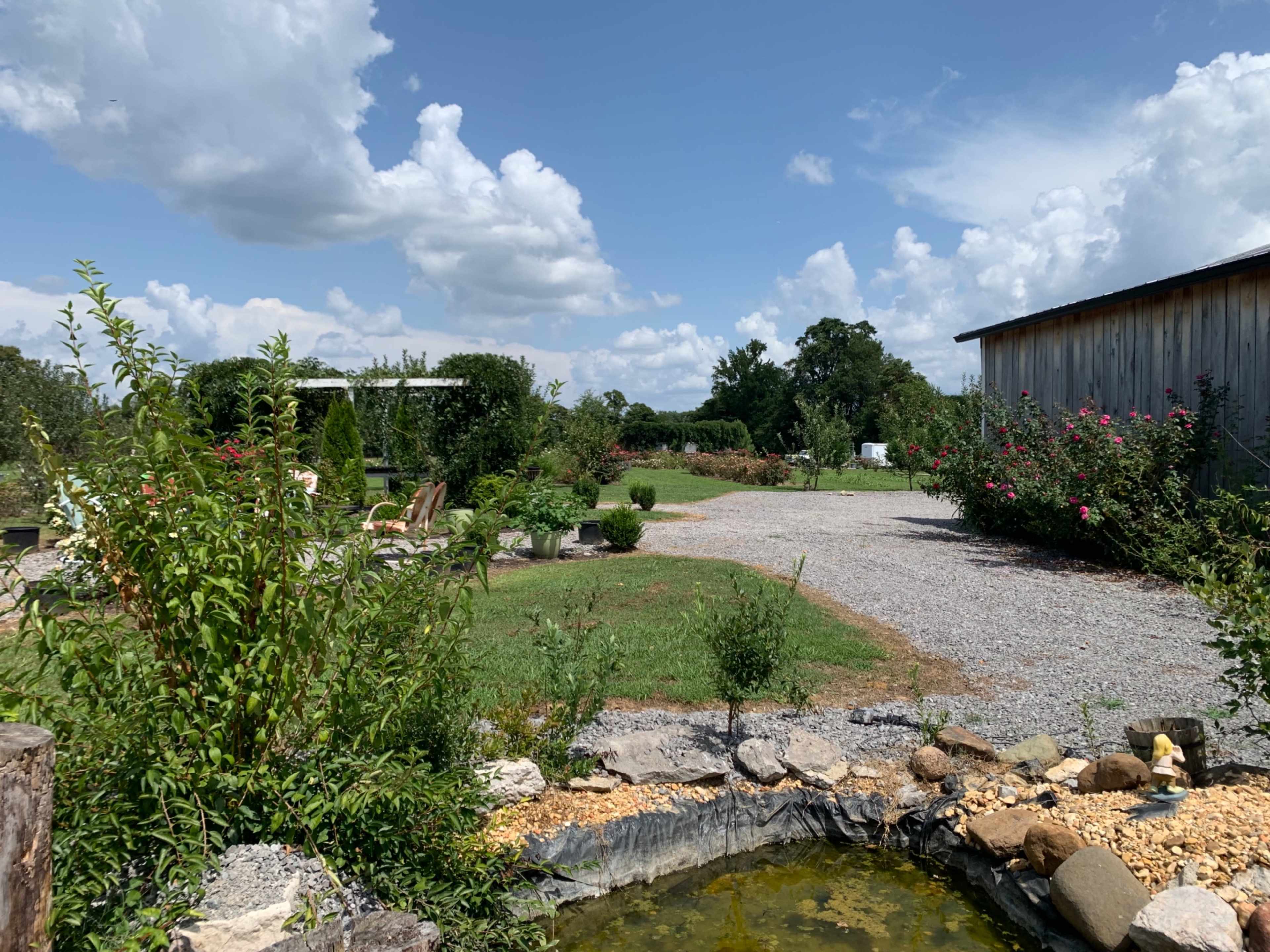 The image shows a gravel pathway surrounded by plants and flowers, leading toward a wooden building under a partly cloudy sky.