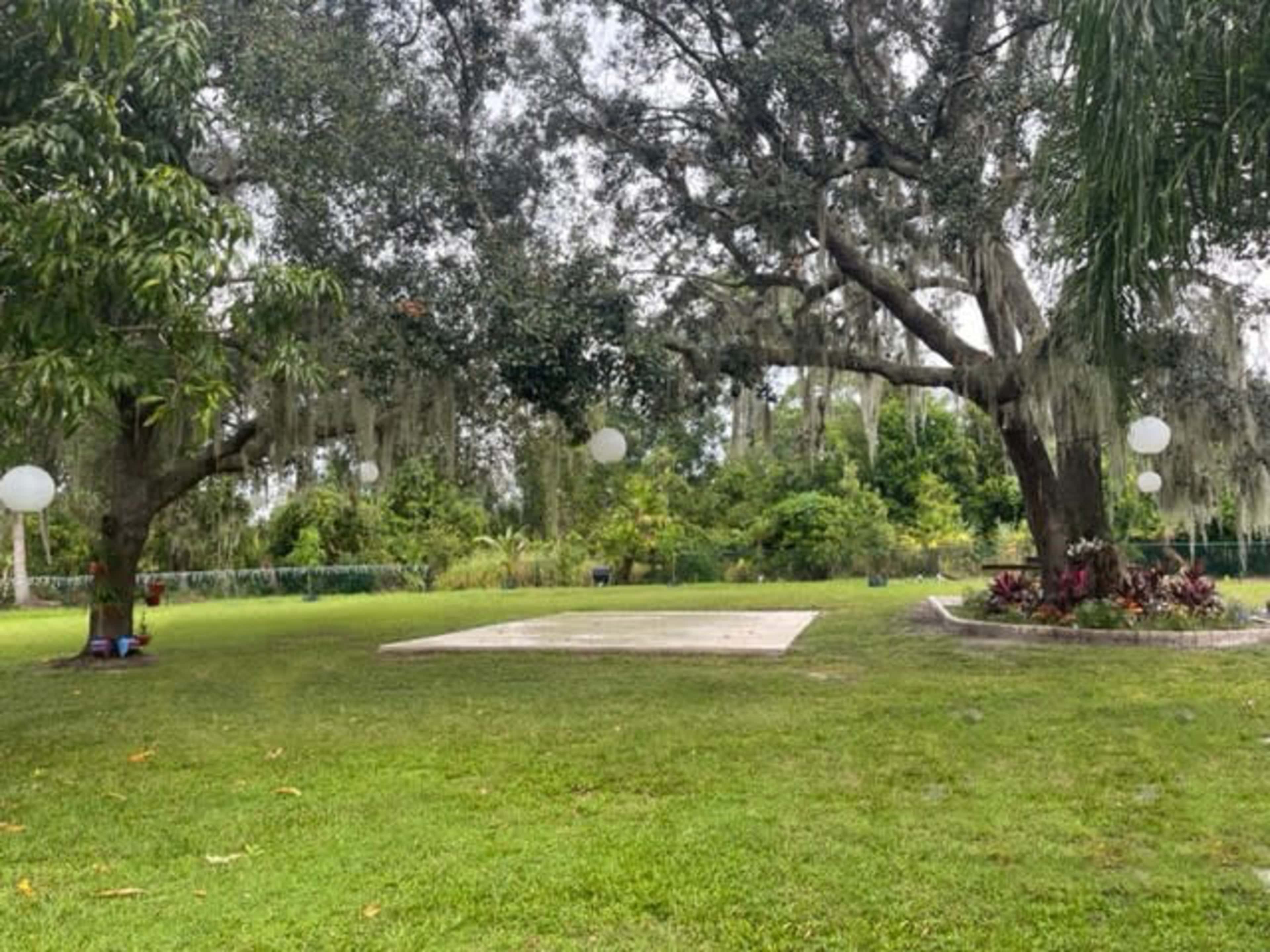 A grassy area with two large trees draped in Spanish moss and a small paved section, surrounded by a landscaped background.