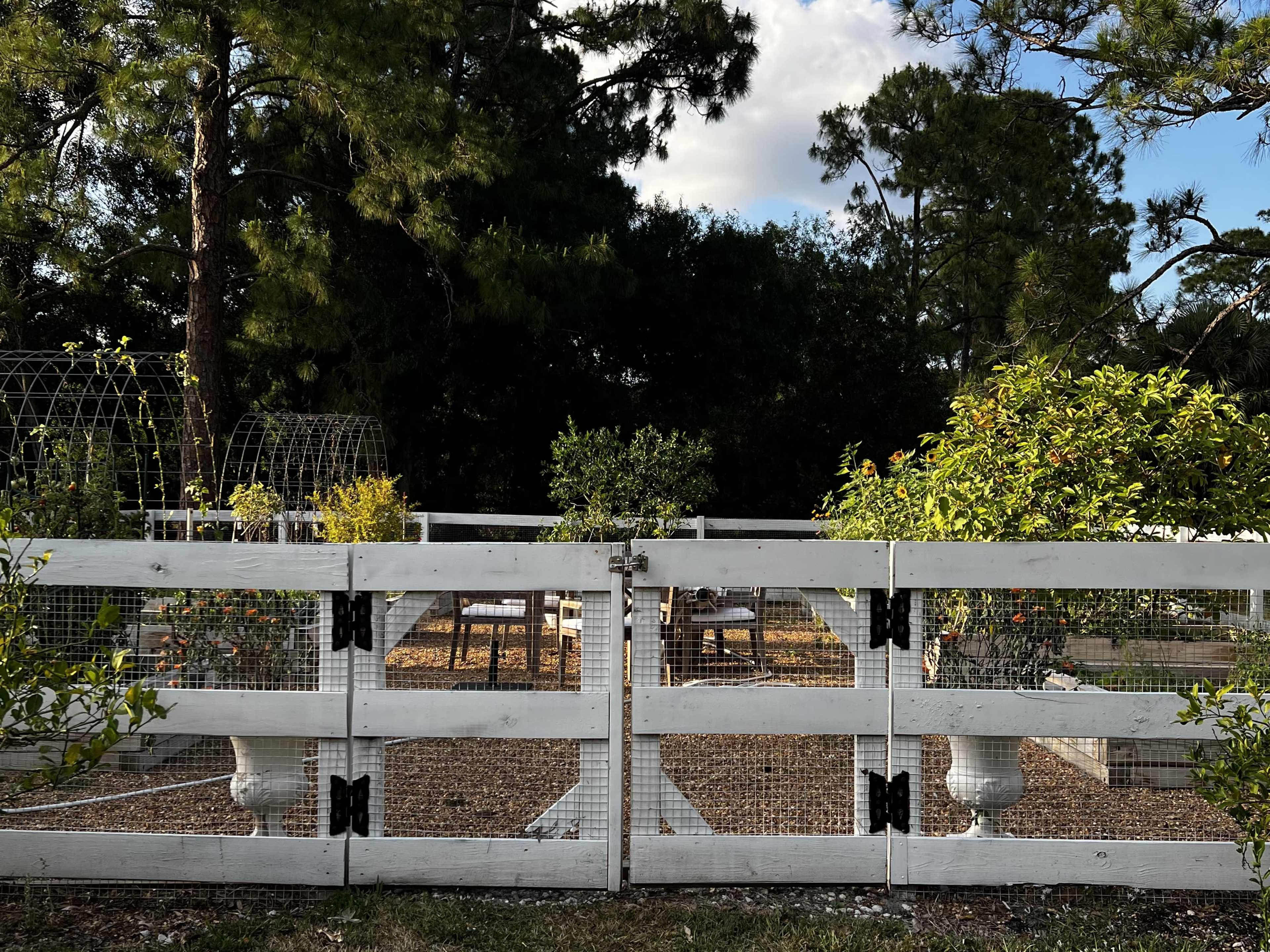 A white wooden fence encloses a garden area with greenery and a gravel path leading to a seating arrangement in the background.