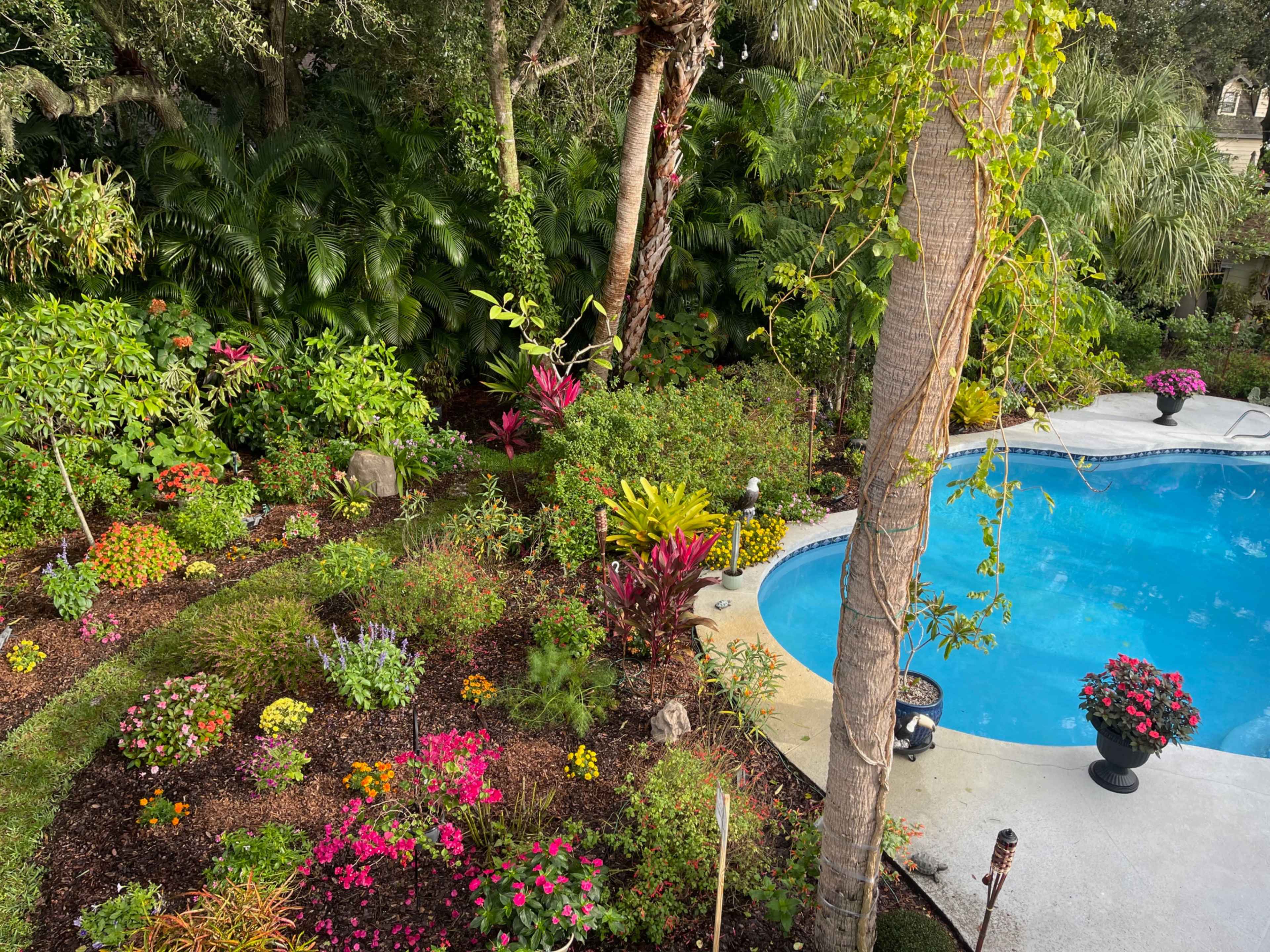 Tropical Butterfly Garden and Pool Image in Palm Bay, Palm Bay, FL