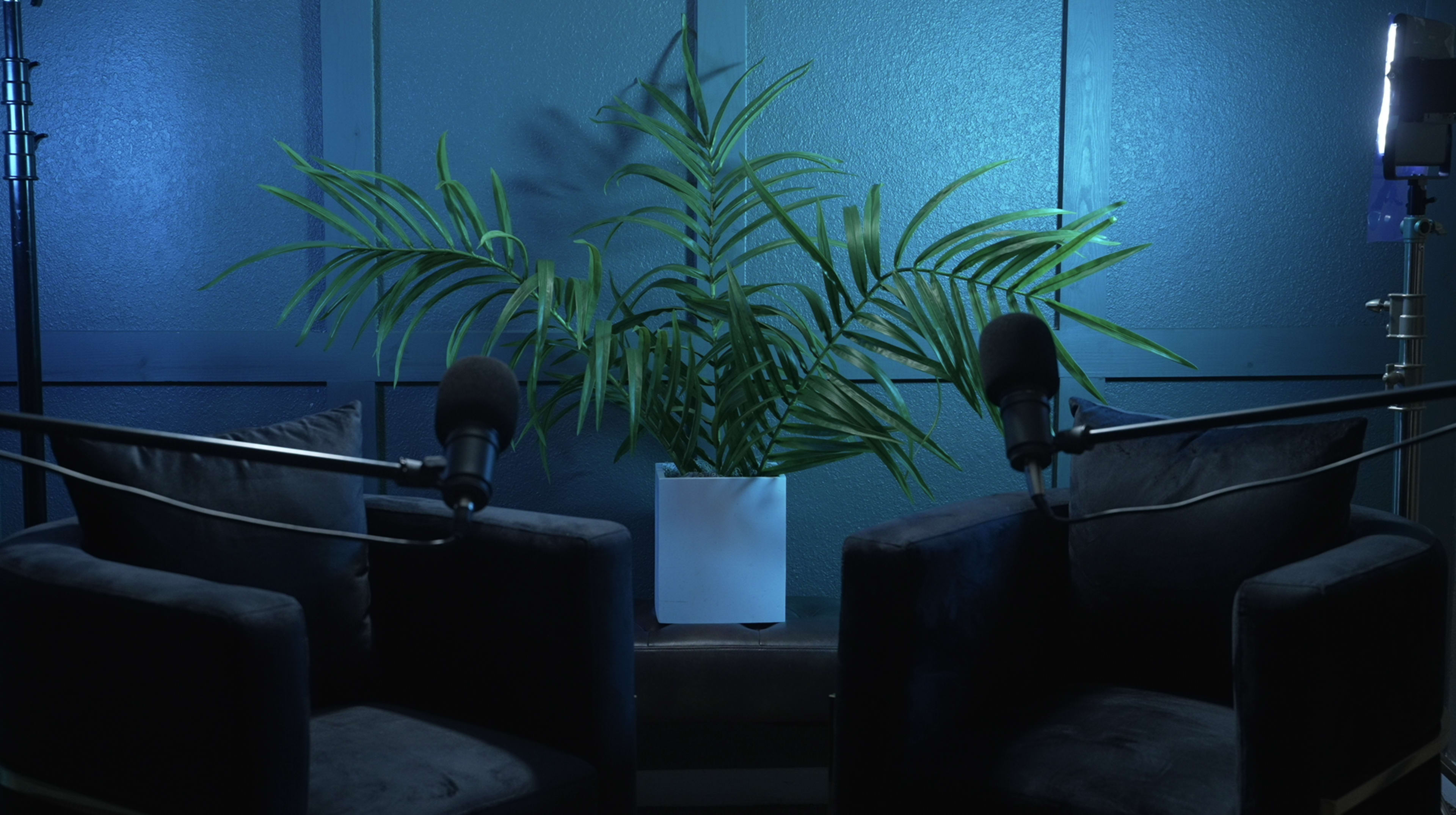 The image shows two black chairs facing each other, with microphones positioned in front of them and a green plant in a white pot illuminated by blue lighting in the background.