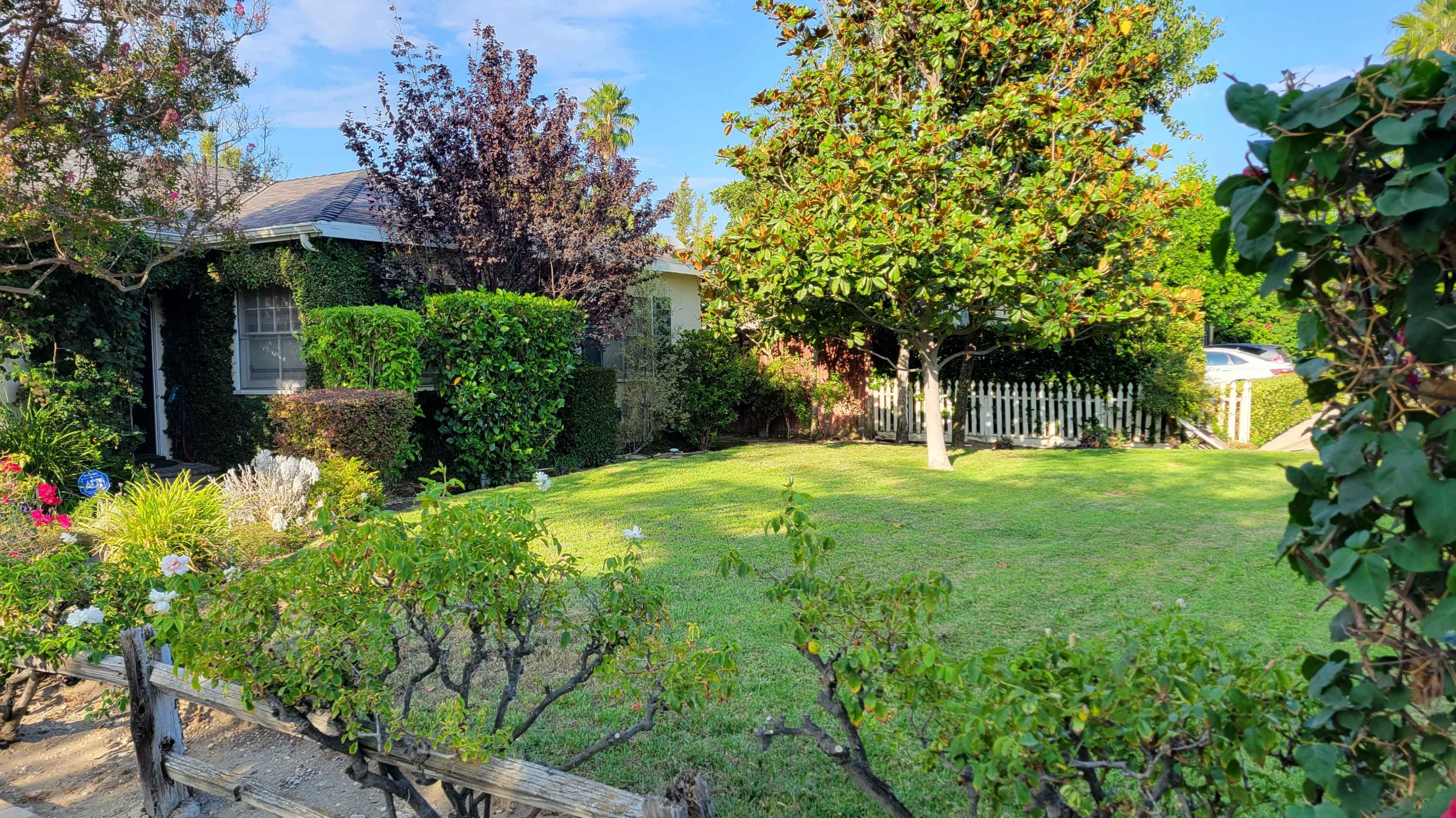 A well-maintained yard with a house partially obscured by greenery and a white picket fence in the background.