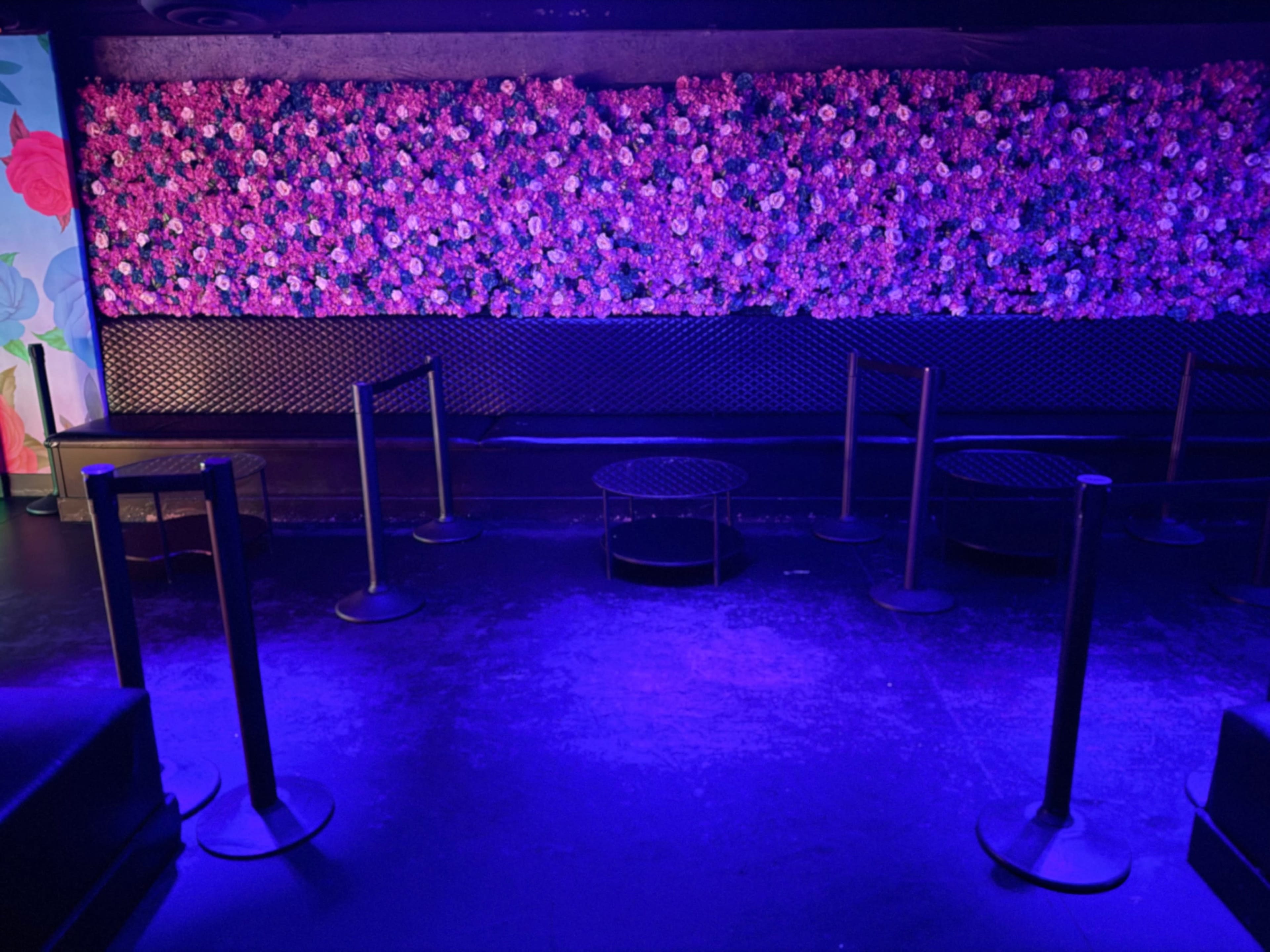The image shows a dimly lit venue with a vibrant flower wall and empty tables surrounded by stanchions on a dark floor.