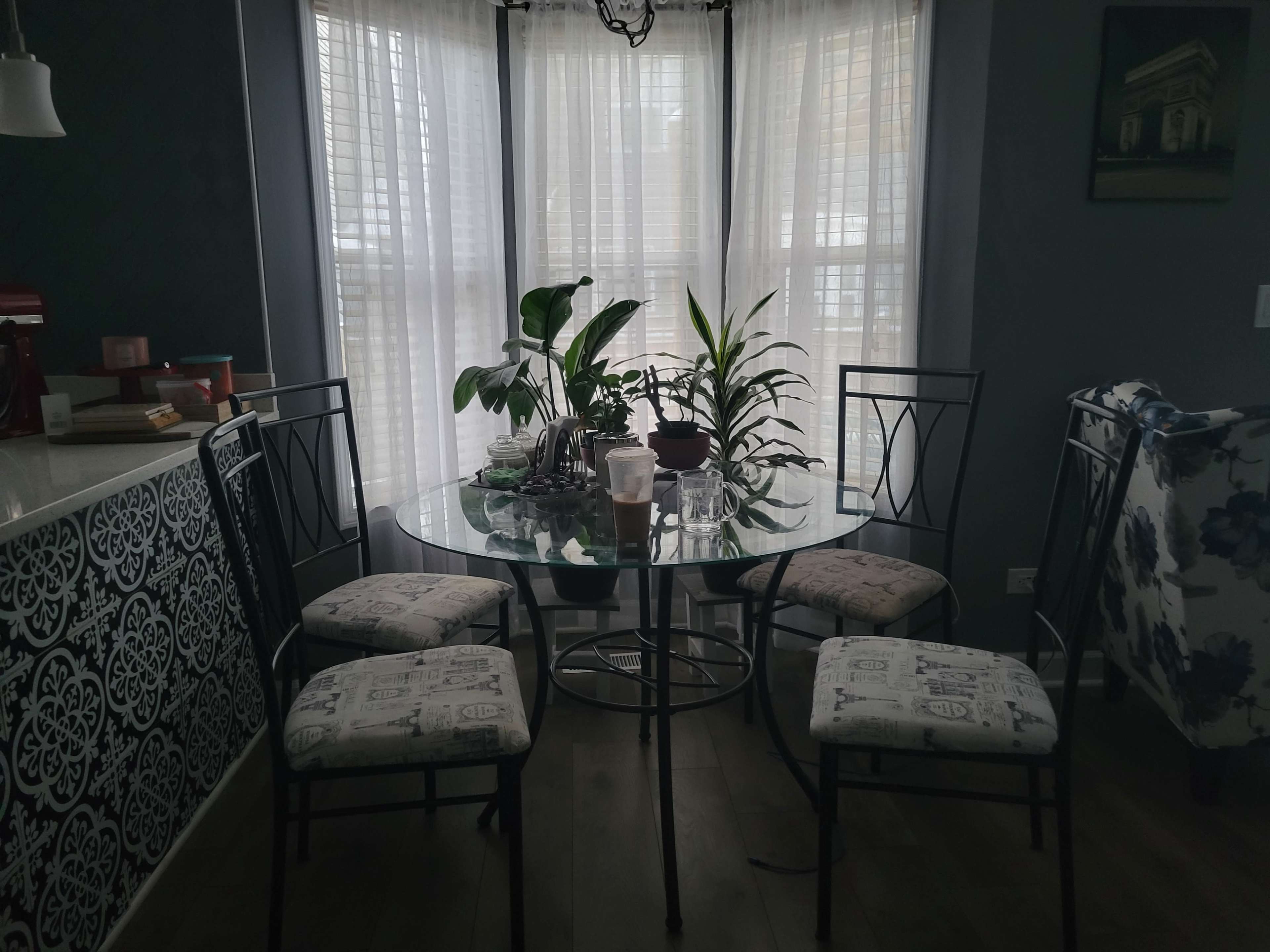 A round glass table surrounded by four black chairs, with various plants placed on the table and nearby, in a well-lit dining area.