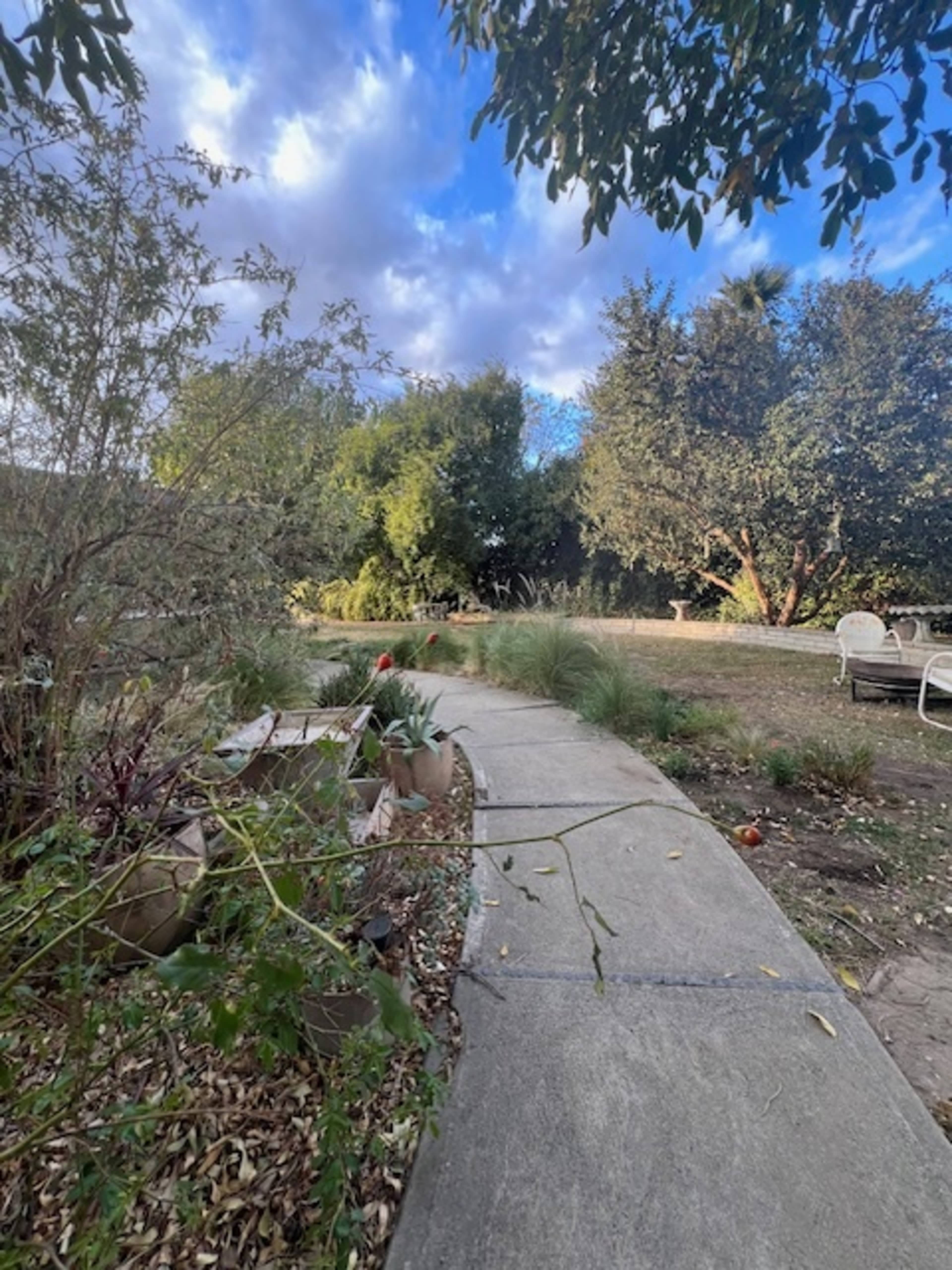 A concrete pathway winds through a garden filled with shrubs and trees under a partly cloudy sky.