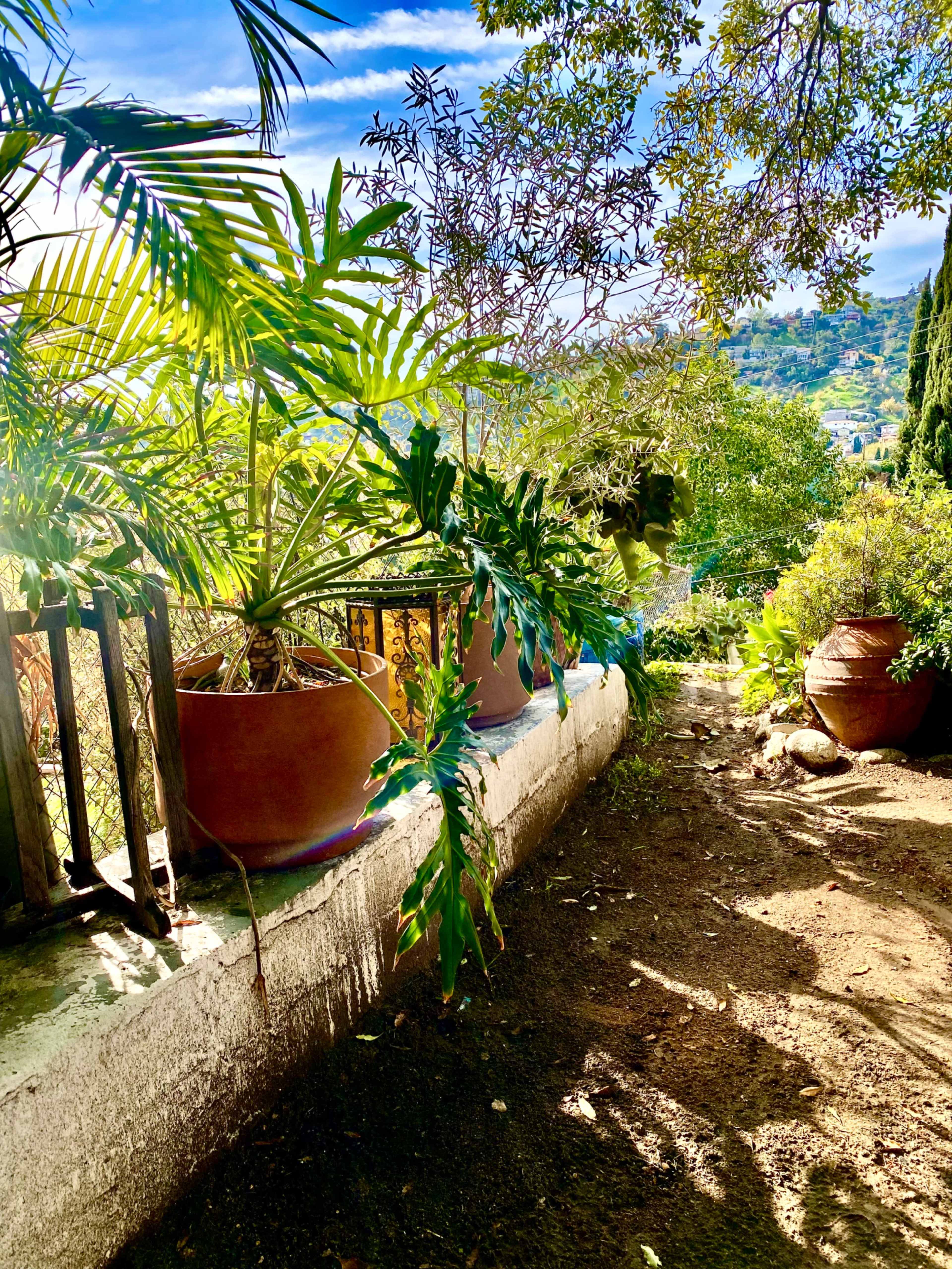 A garden path bordered by potted plants and greenery, leading towards a view of hills and trees in the background.
