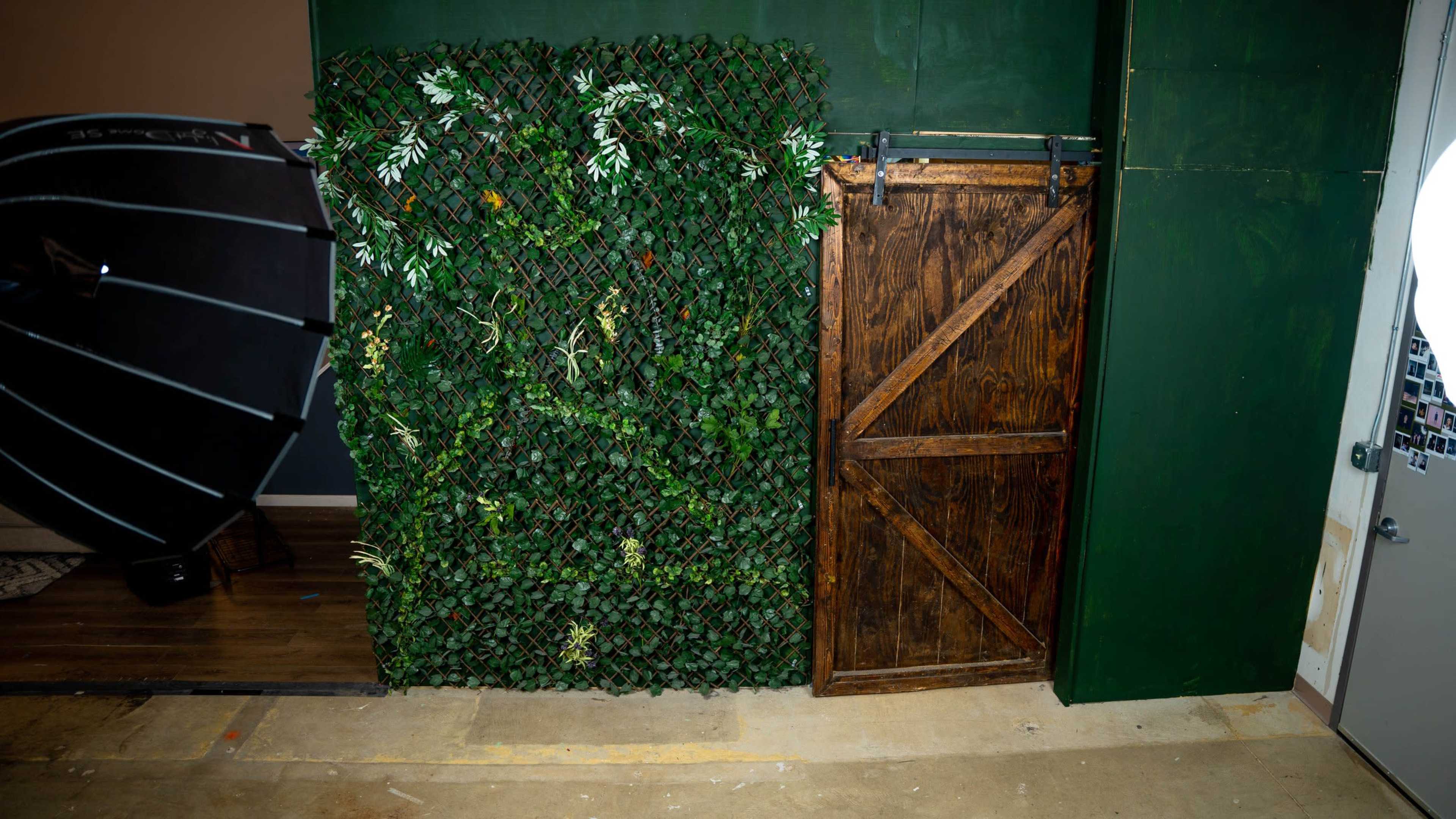 A green wall covered with artificial foliage beside a wooden sliding barn door in a studio setting.