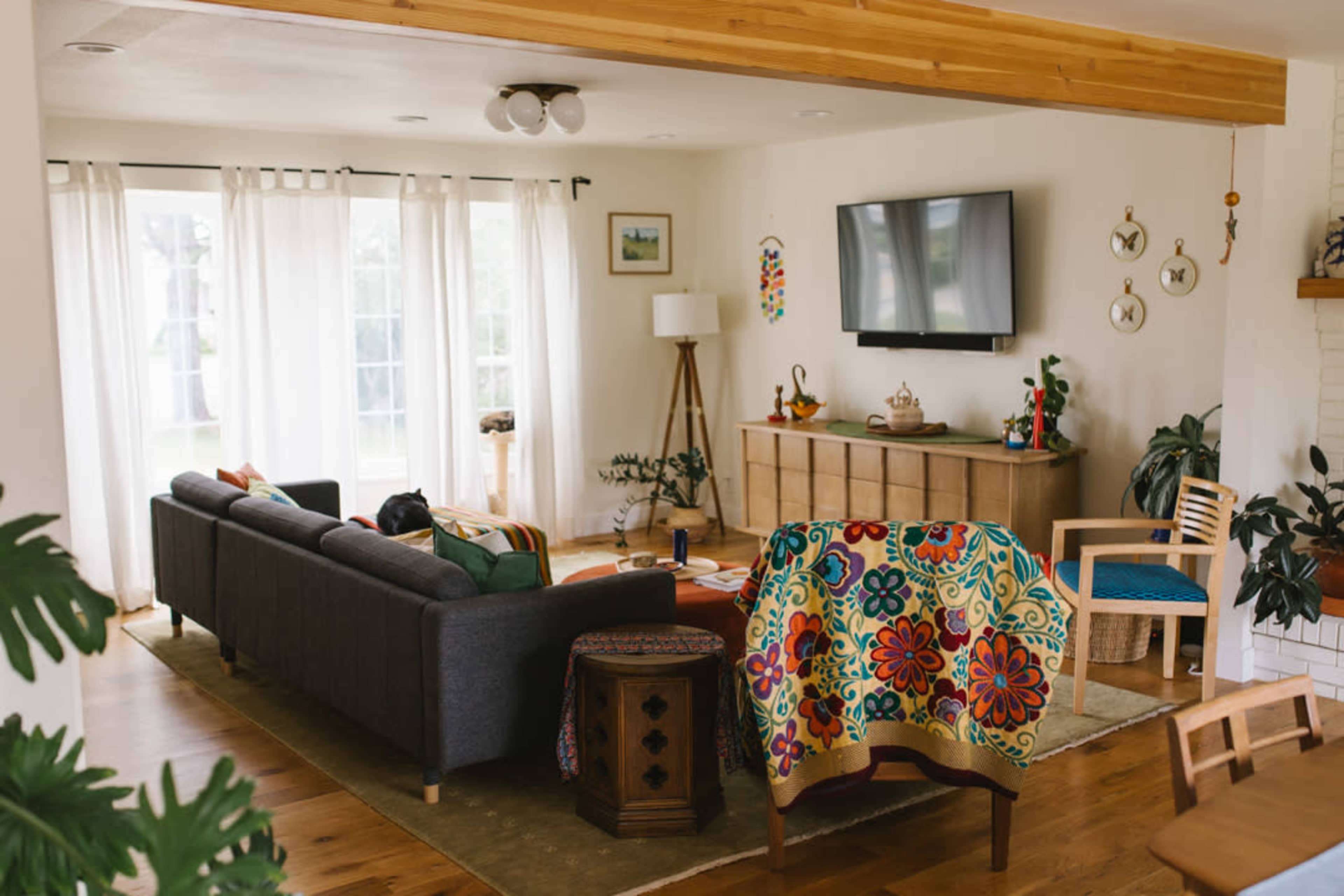 The image shows a cozy living room featuring a gray sofa, a wooden coffee table, a television mounted on the wall, and various indoor plants arranged around the space.