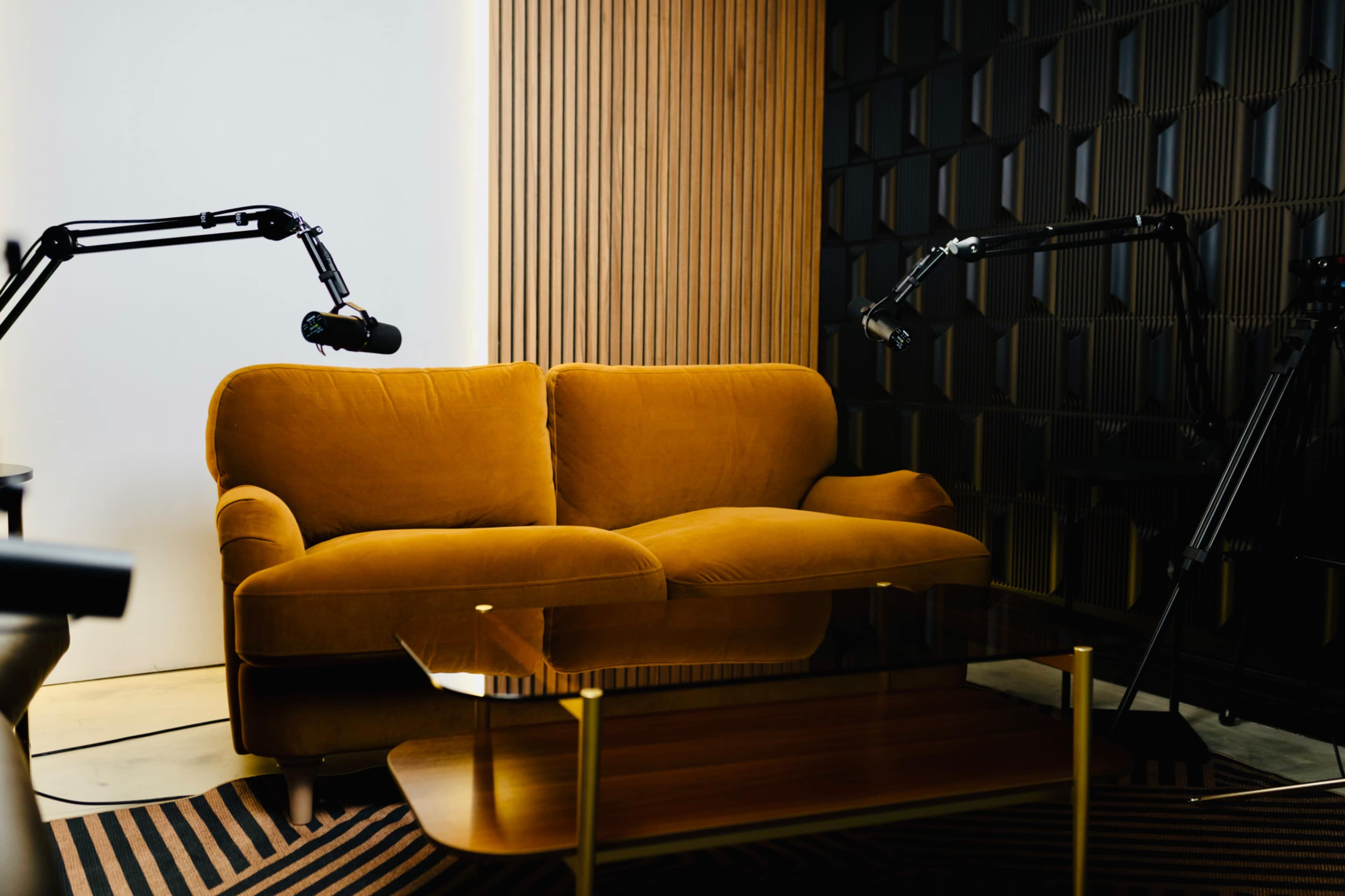 Podcast studio— perfect sound, lighting and video Image in Geneva Township, Geneva, IL