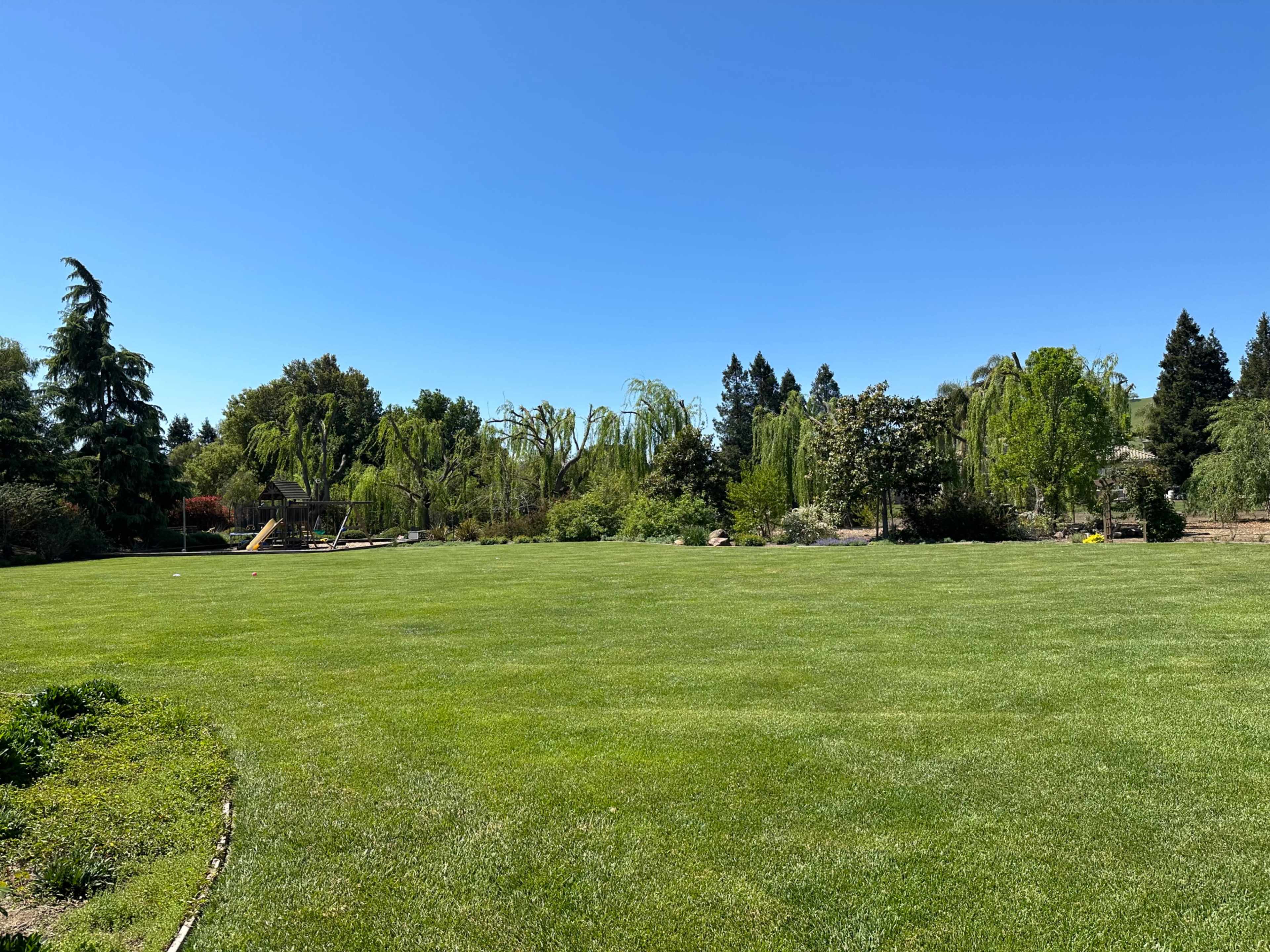 A large green lawn is set against a clear blue sky, surrounded by various trees and plant life.