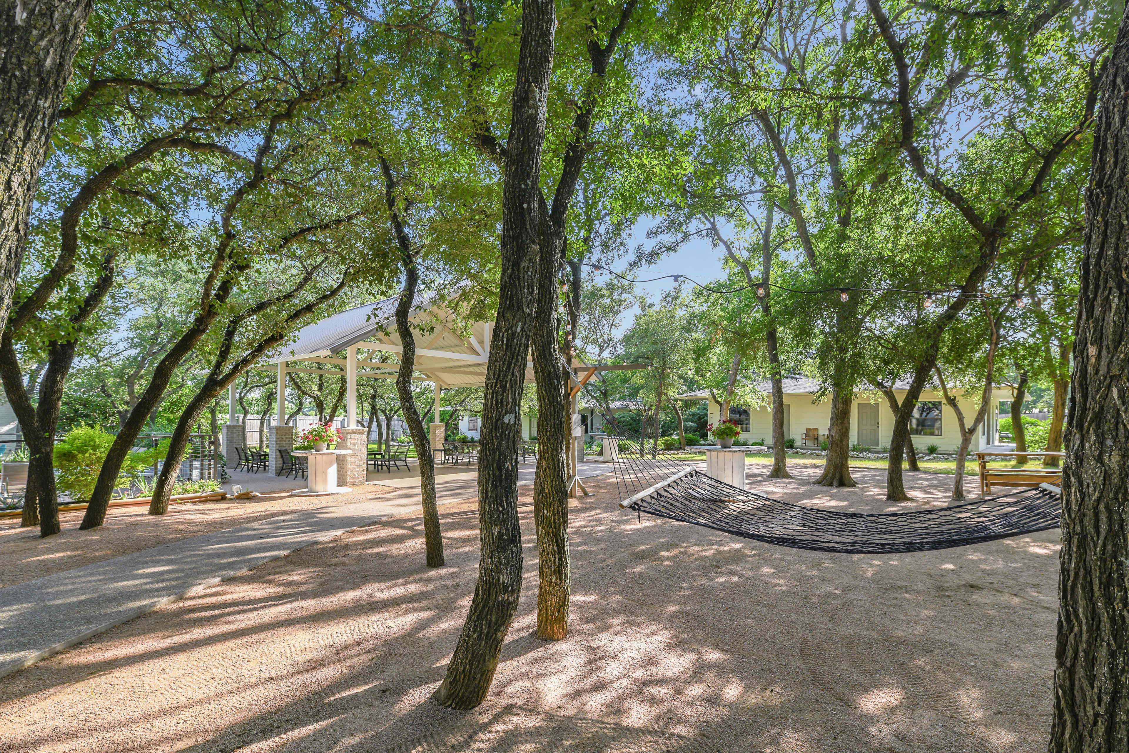 A shaded outdoor area with scattered trees, a hammock, and a covered seating space.