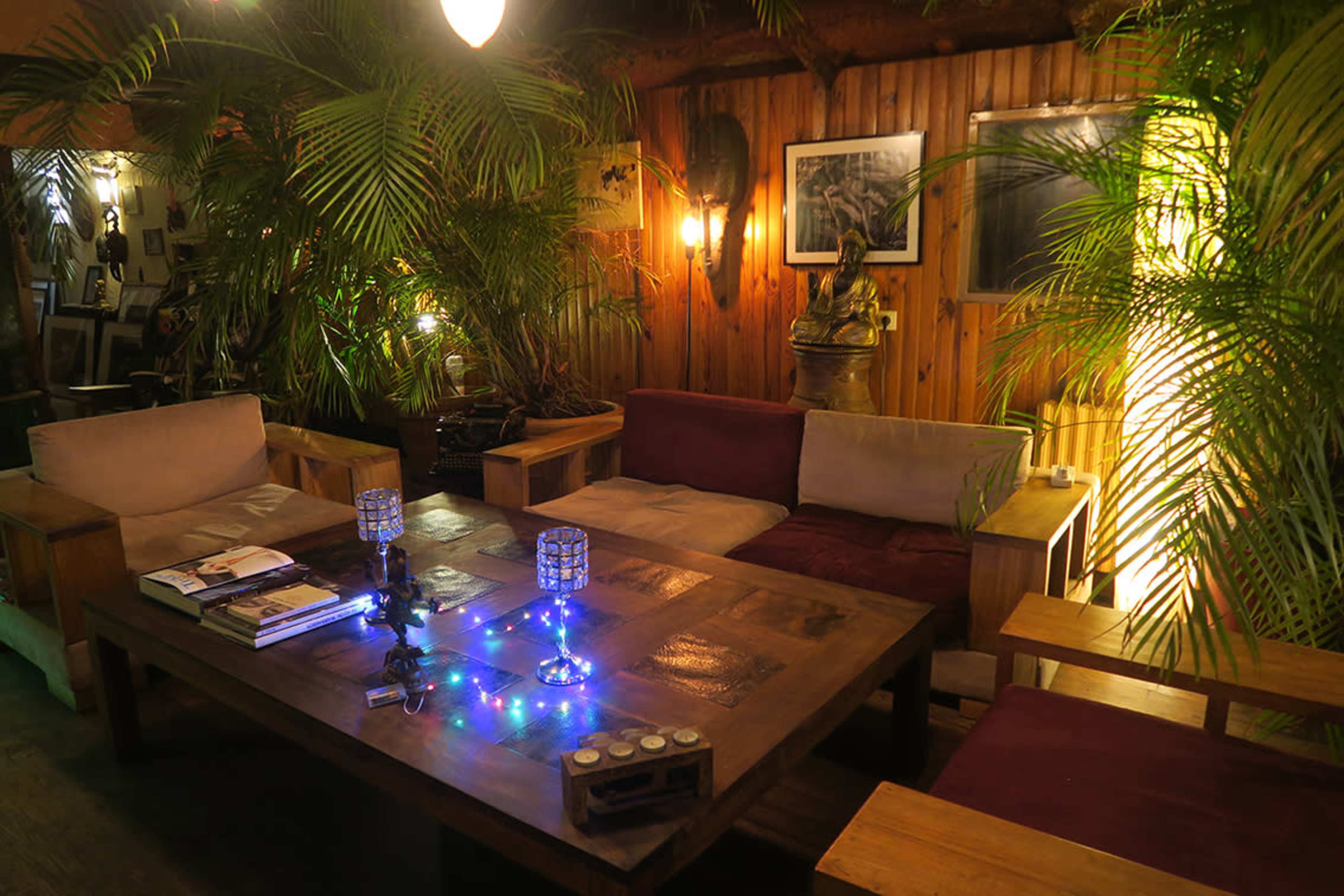 The image shows a cozy seating area surrounded by tropical plants, featuring wooden furniture and a table decorated with lights.