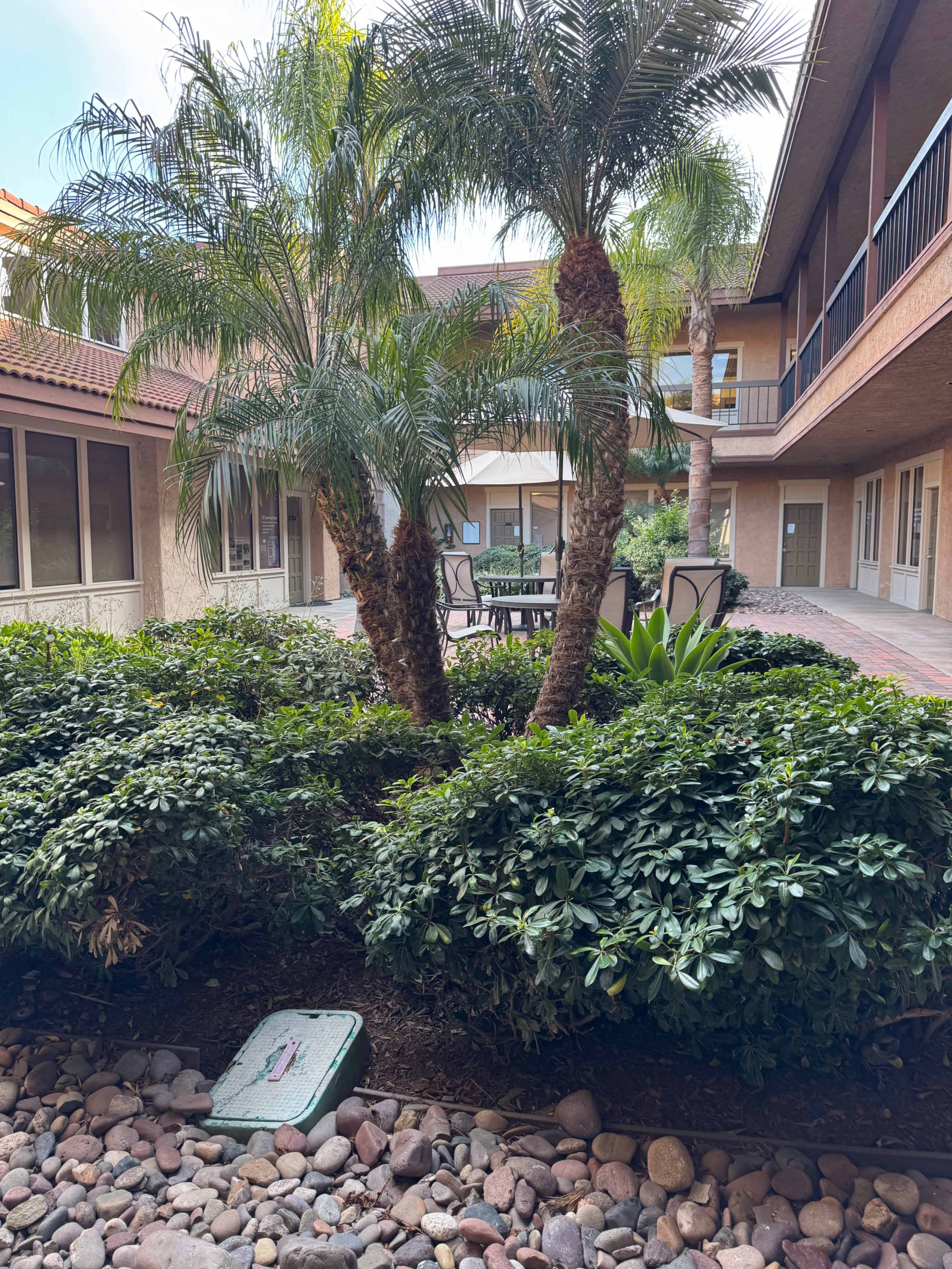 The image shows a courtyard area featuring palm trees, shrubs, and a small seating arrangement with a table and chairs.
