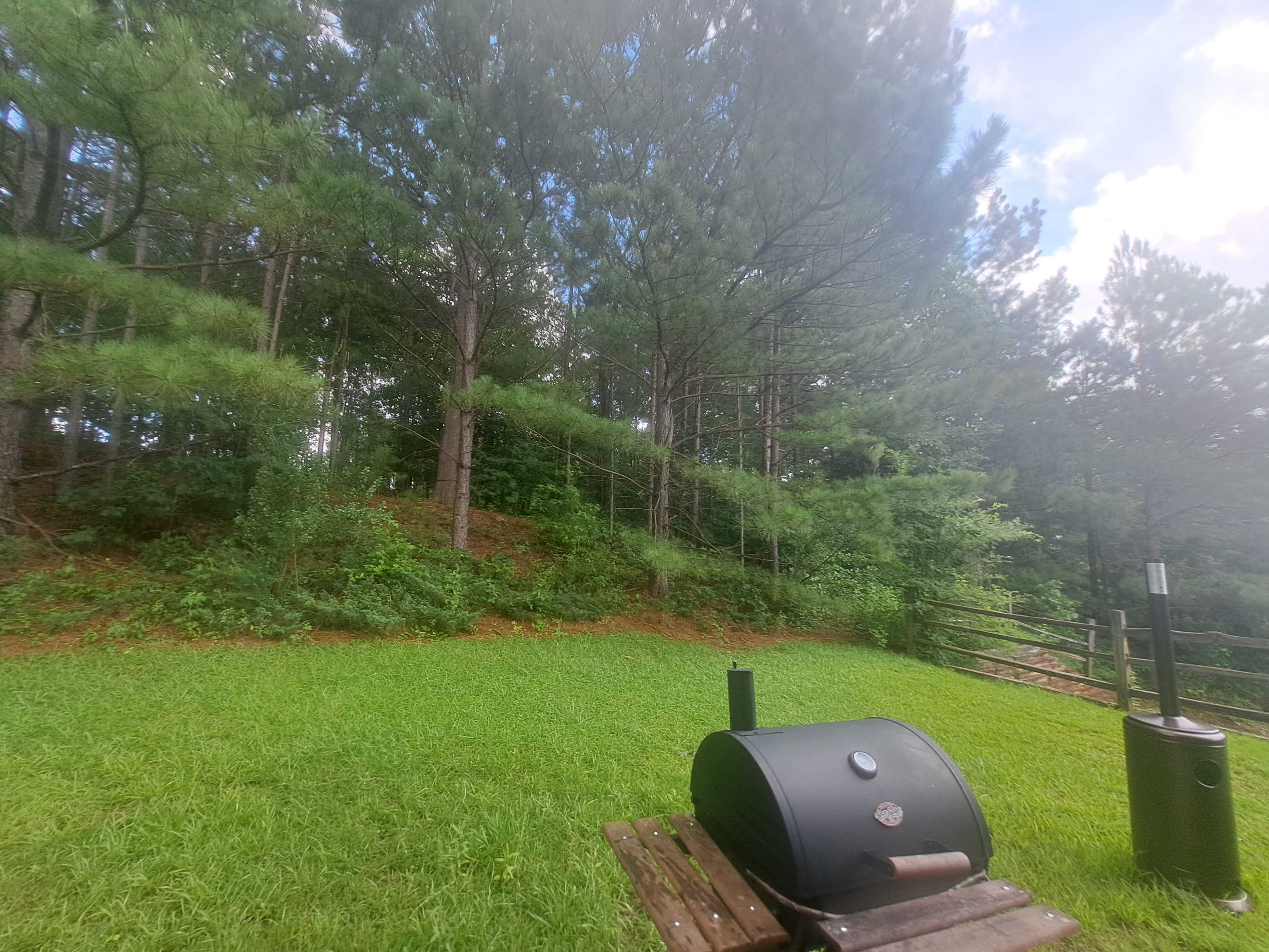 The image shows a grassy area with a black grill and a green wooded backdrop.