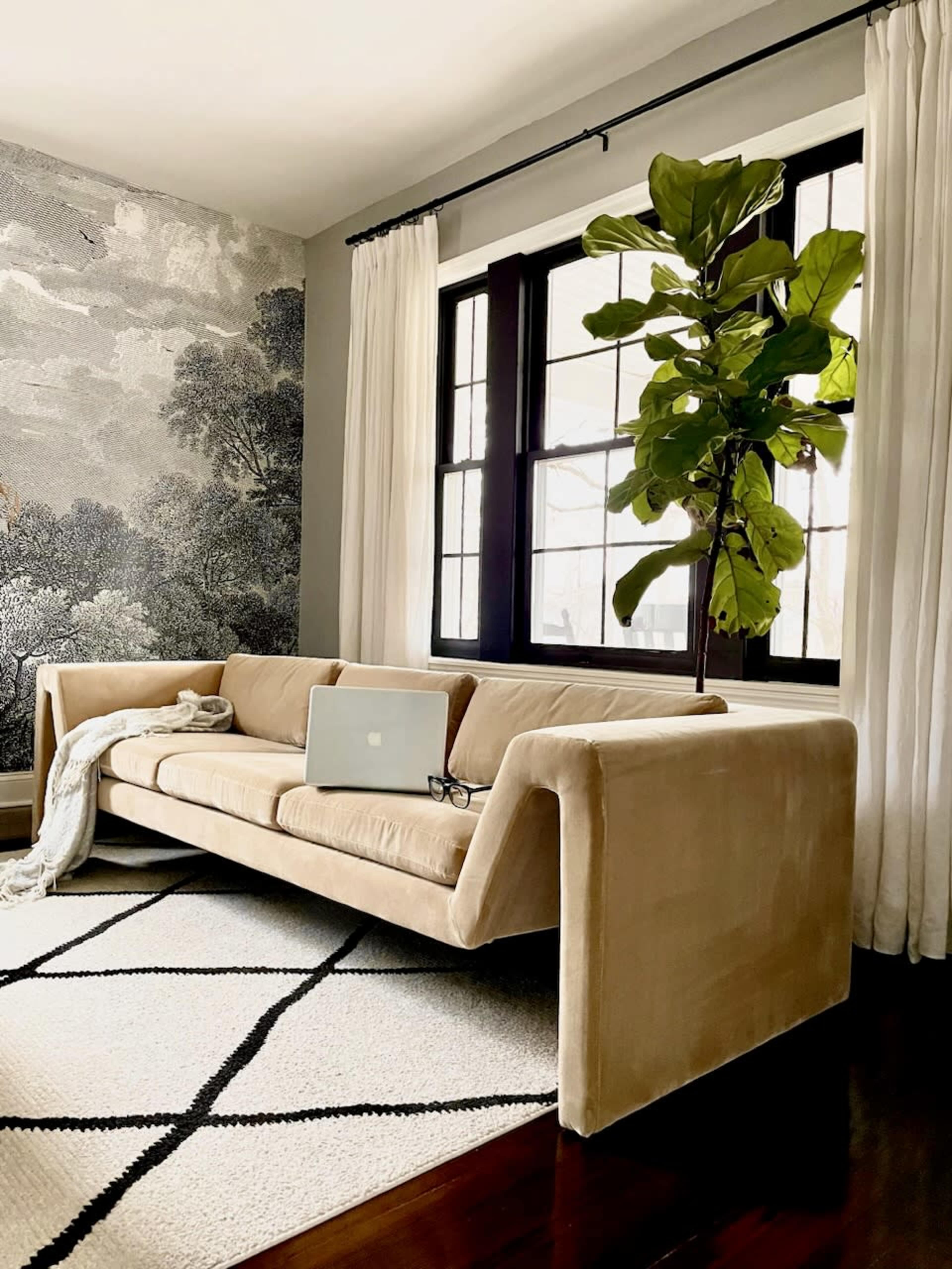 A modern velvet sofa is positioned near large windows, accompanied by a laptop and a potted plant, on a patterned area rug.